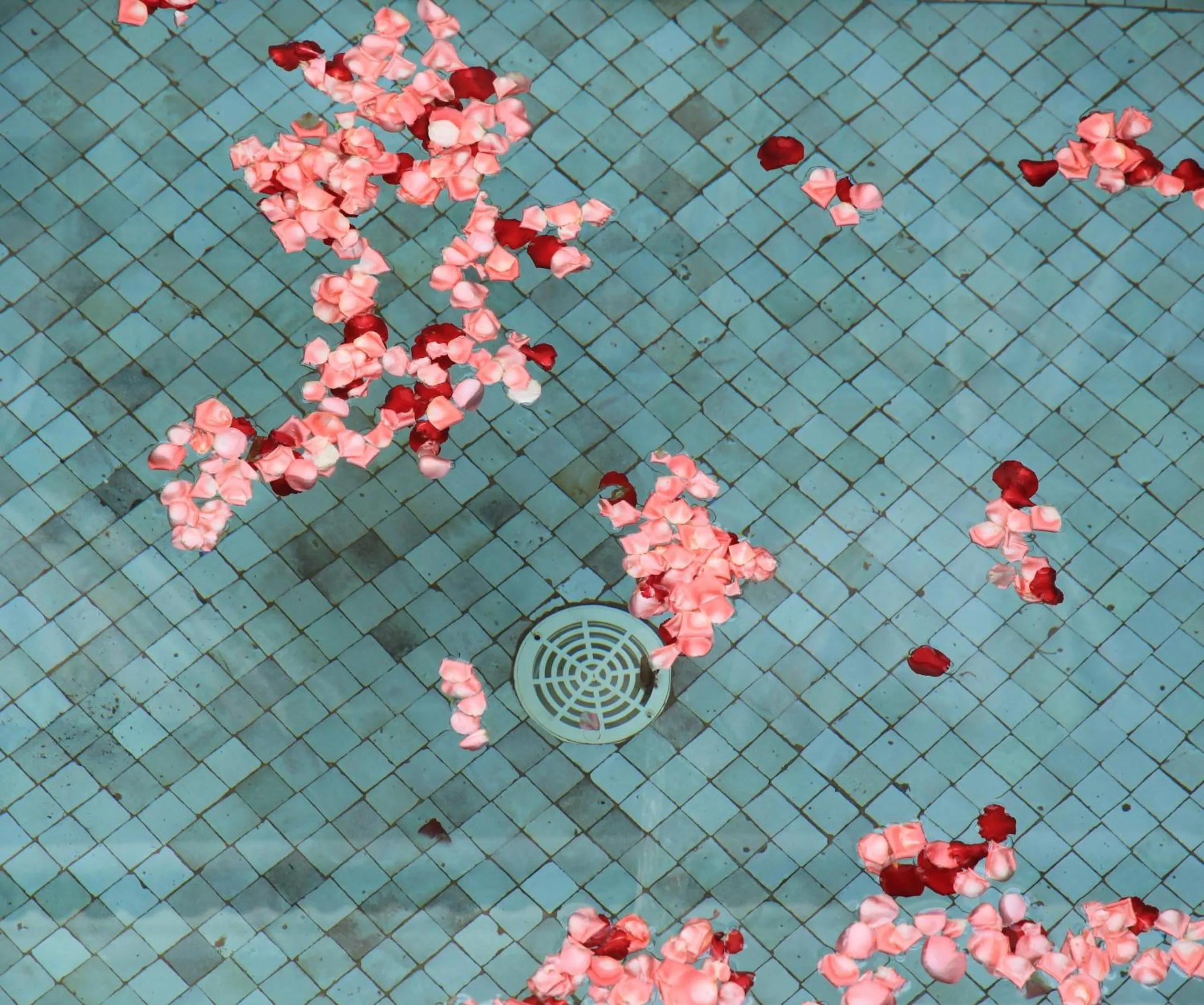 Pool view in Riad Le Coq Berbère