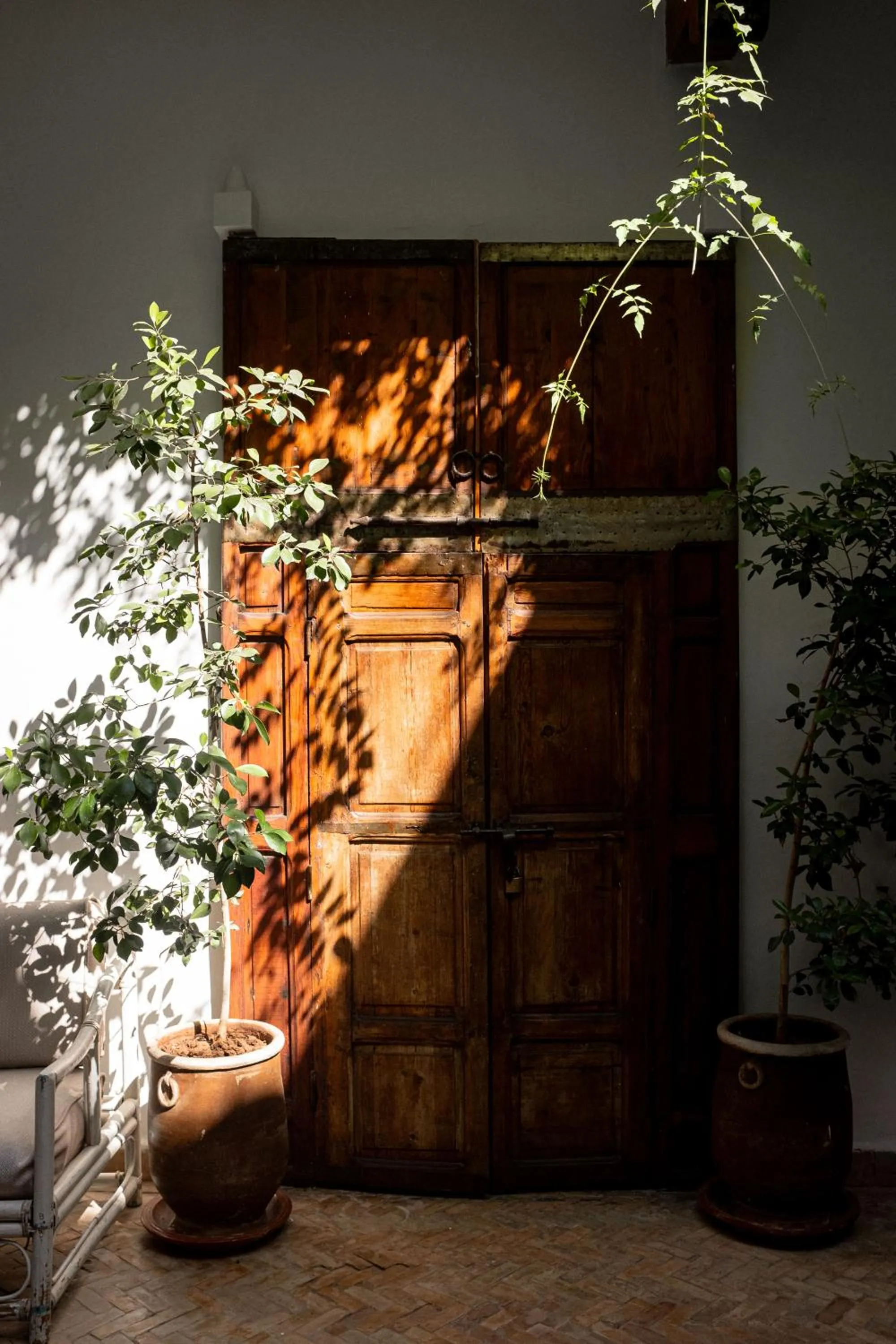 Patio in Riad Le Coq Berbère