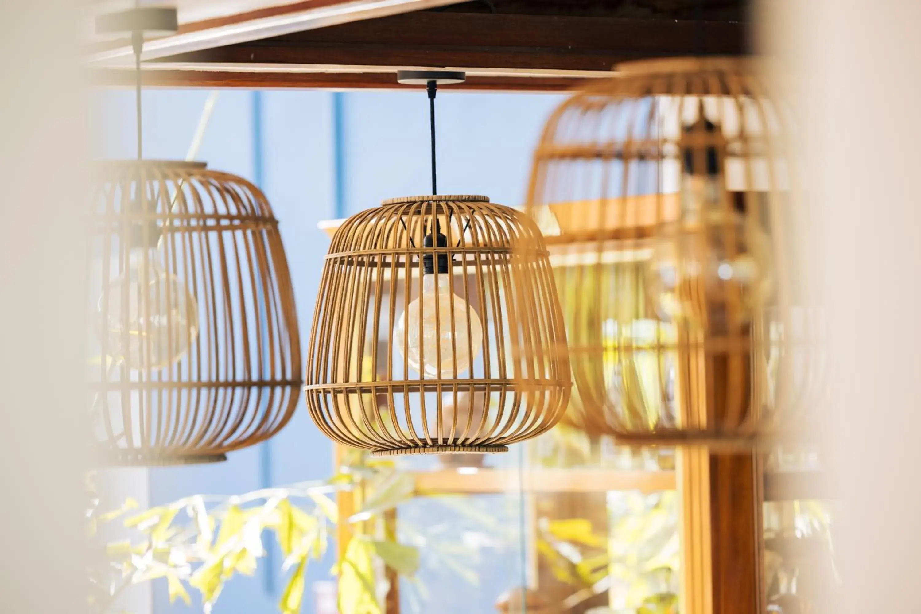 Lobby or reception in Hôtel Les Créoles Lobby or reception in Hôtel Les Créoles