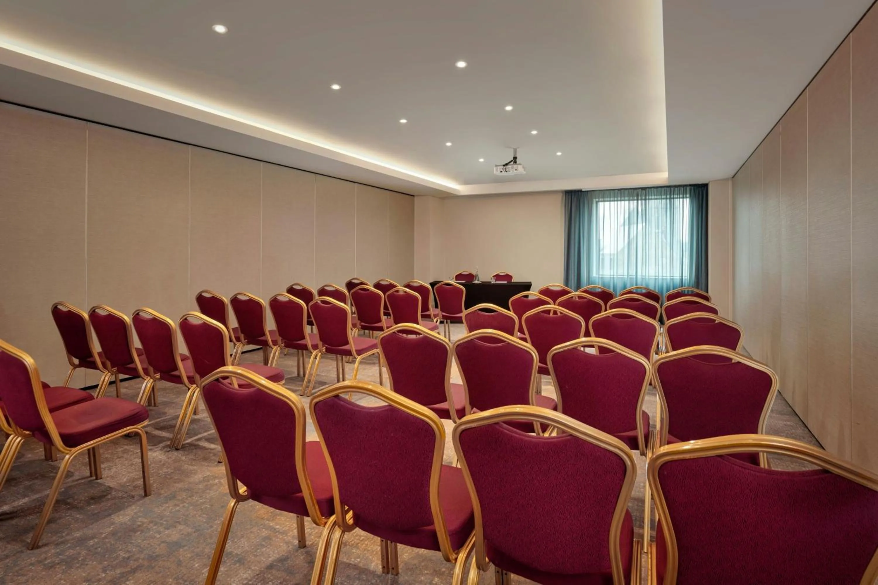 Entertainment in Sheraton Athlone Hotel