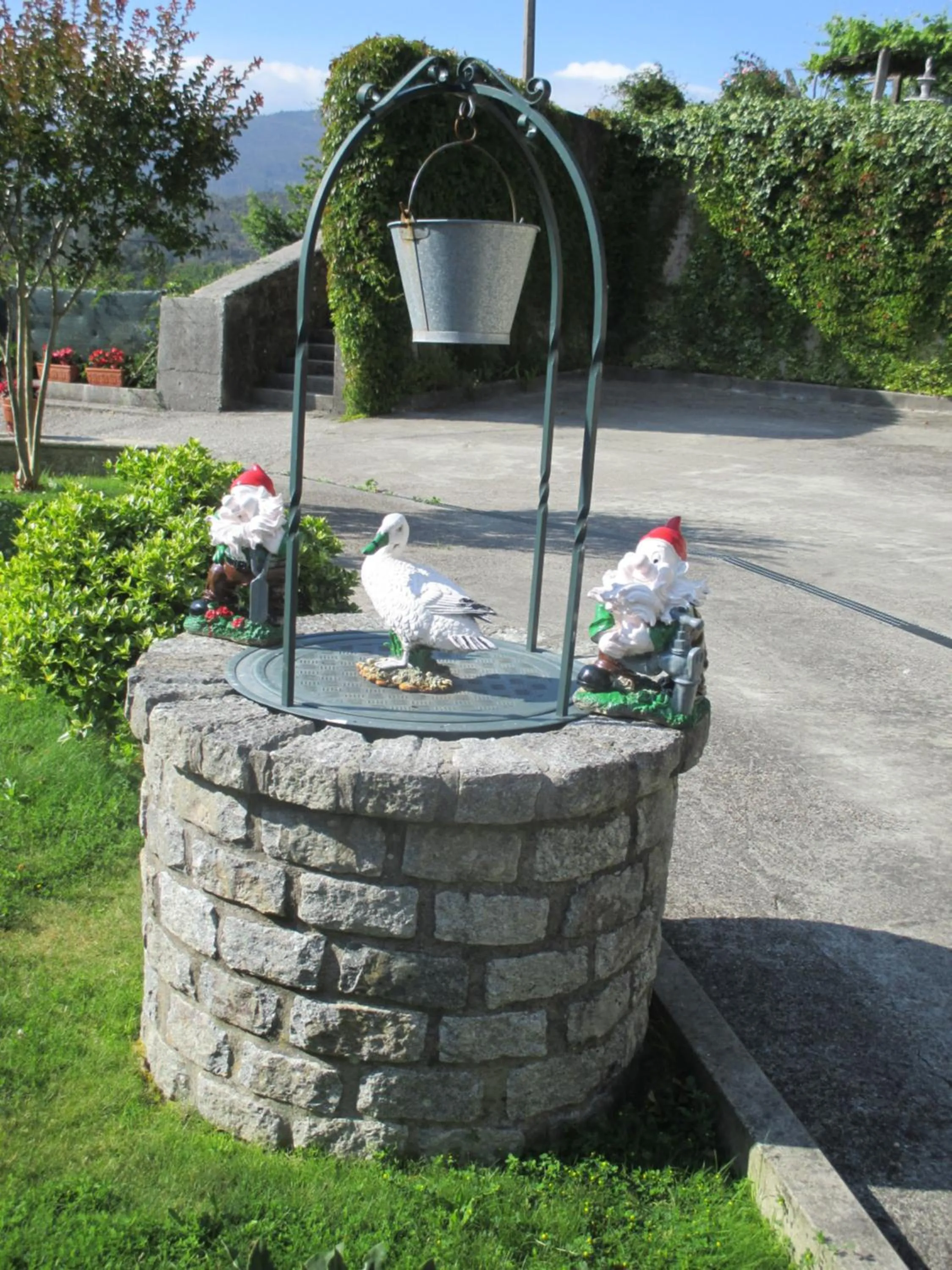 Garden in Hotel Chola