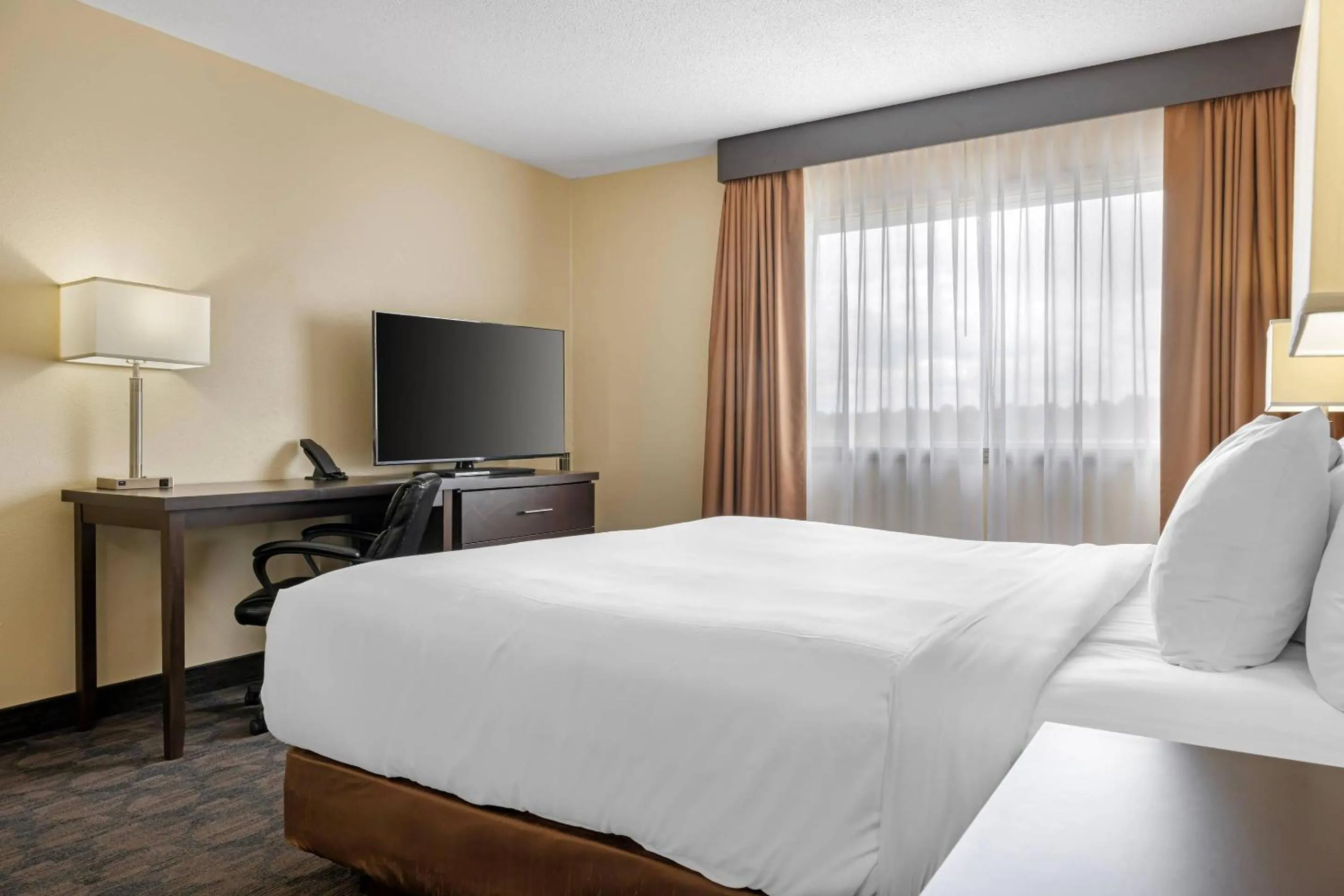 Bedroom, Bed in Quality Inn & Suites