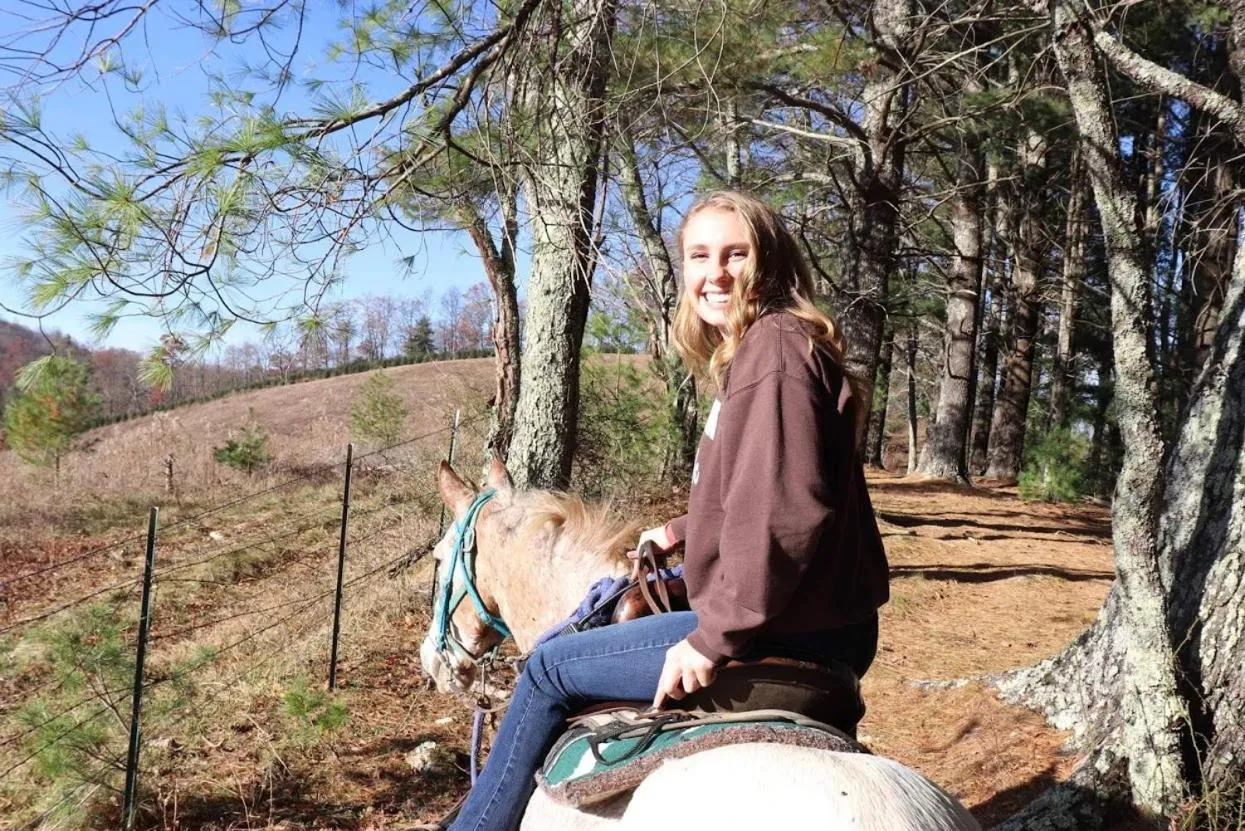Horse-riding in Arrowmont Stables & Cabins
