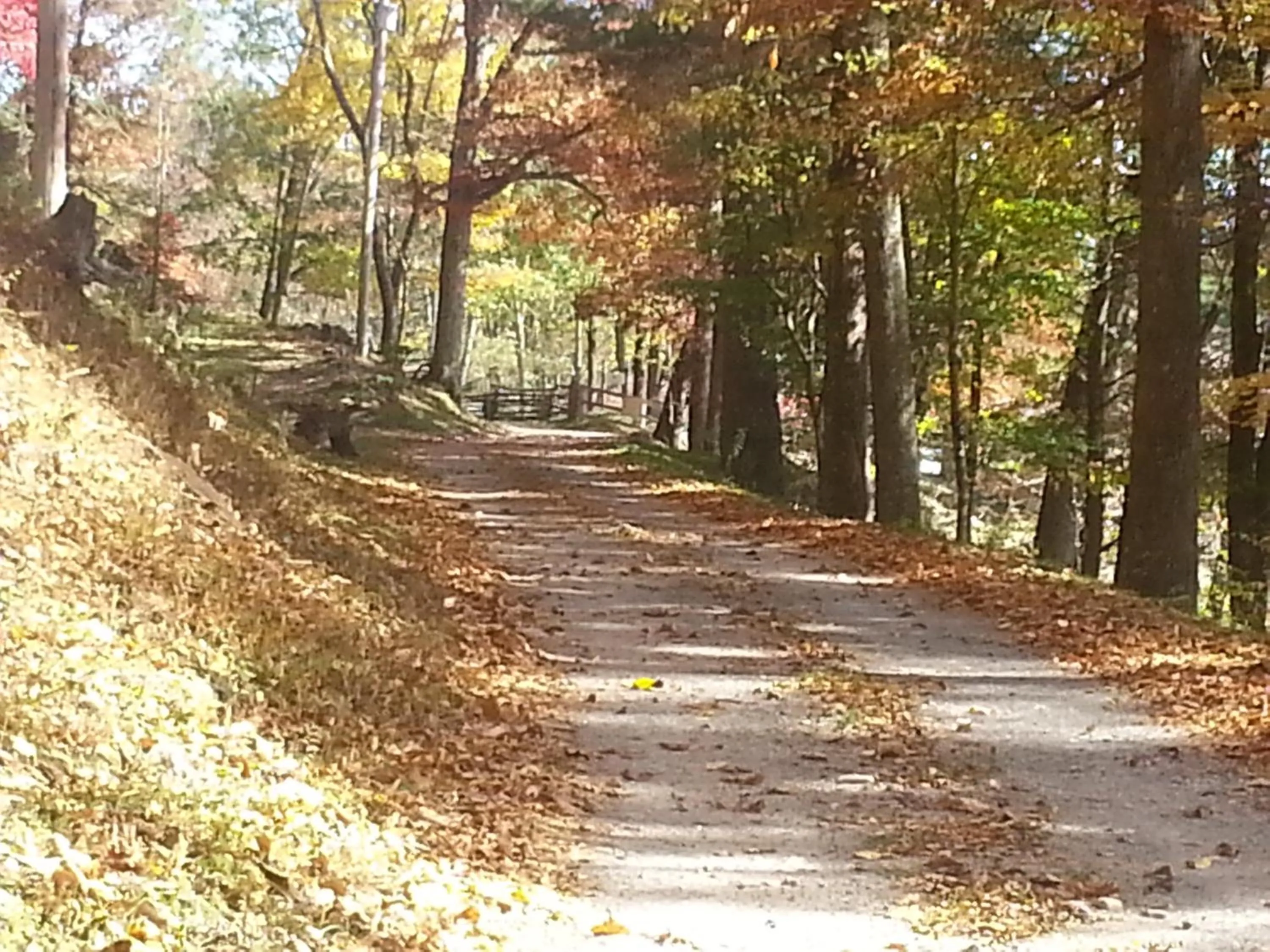 Facade/entrance in Arrowmont Stables & Cabins