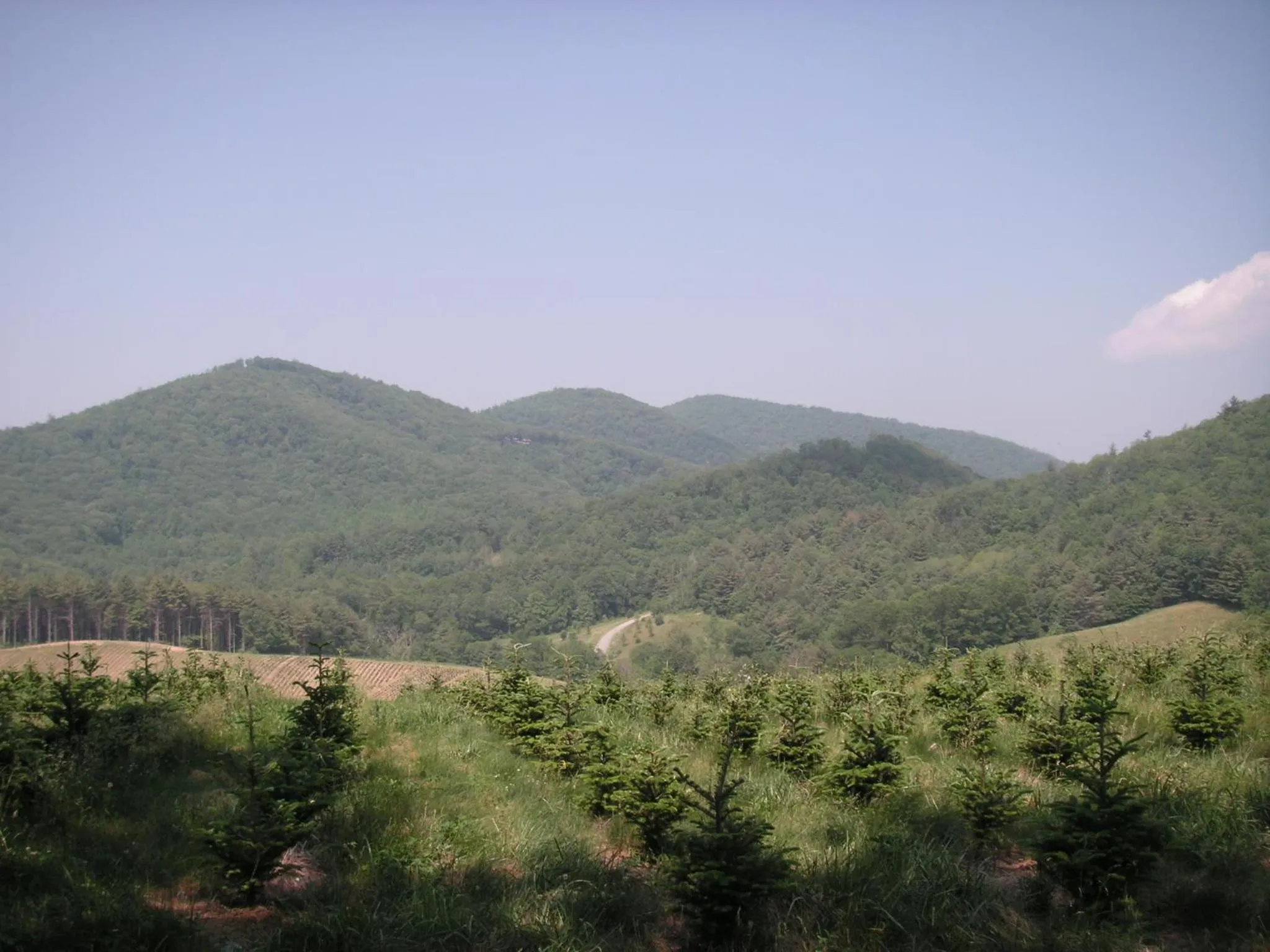 Horse-riding in Arrowmont Stables & Cabins