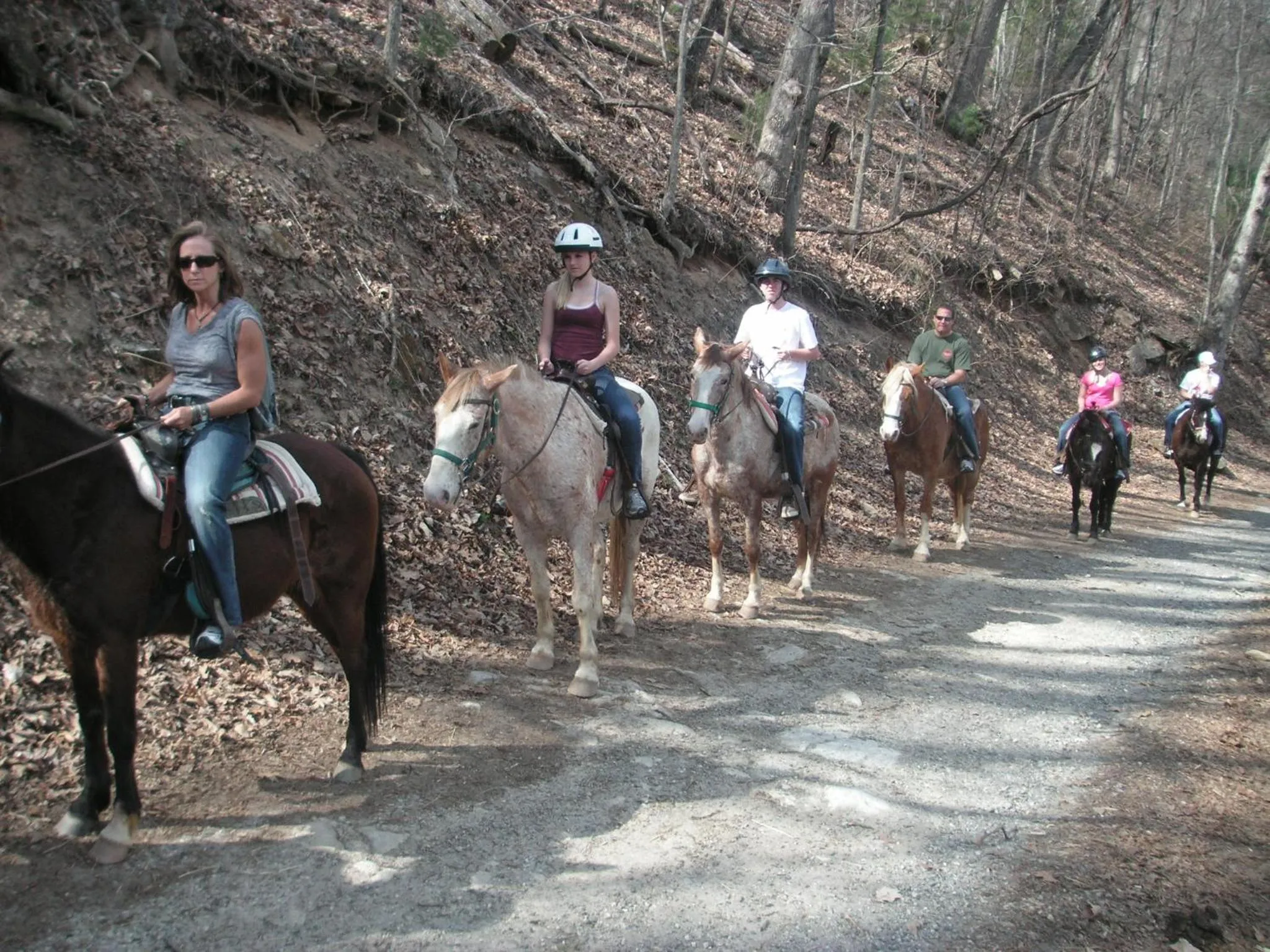 Horse-riding in Arrowmont Stables & Cabins