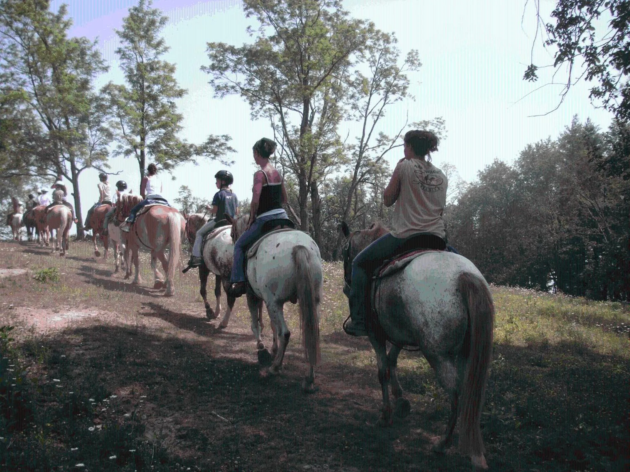 Spring in Arrowmont Stables & Cabins