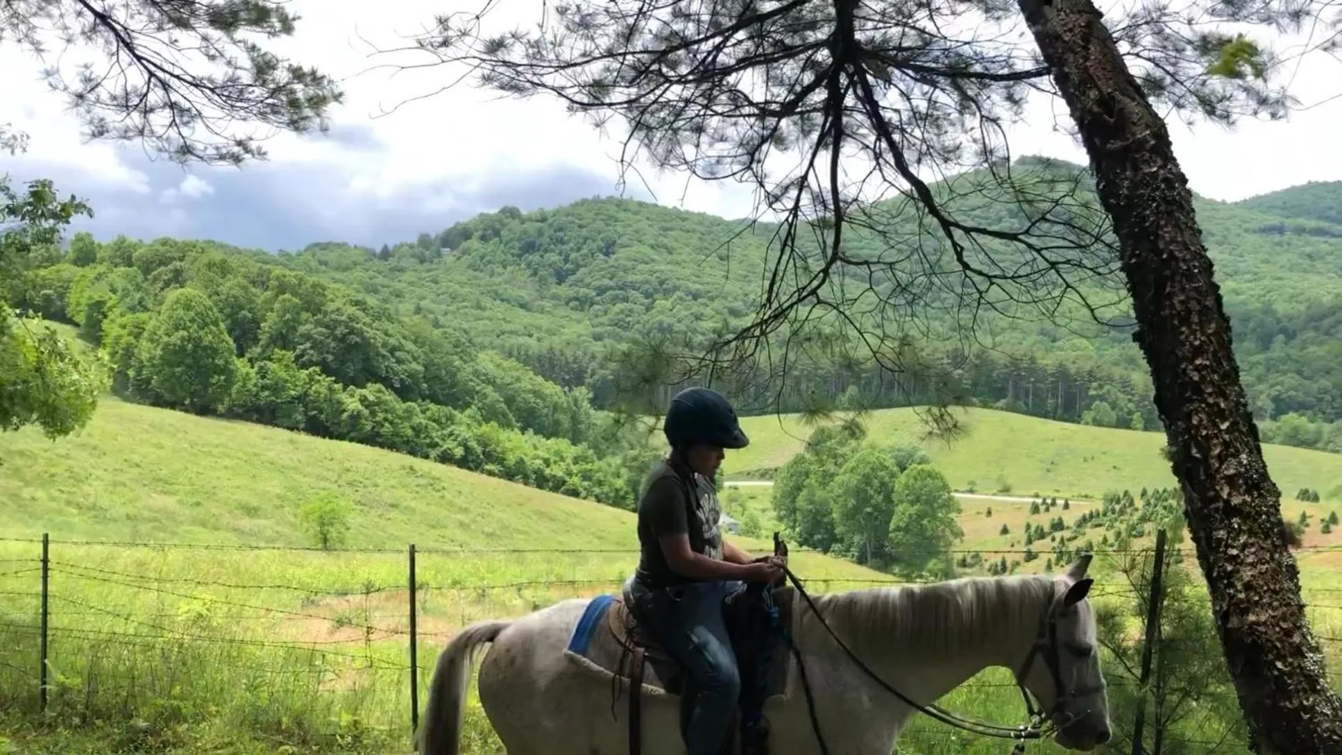 Activities in Arrowmont Stables & Cabins