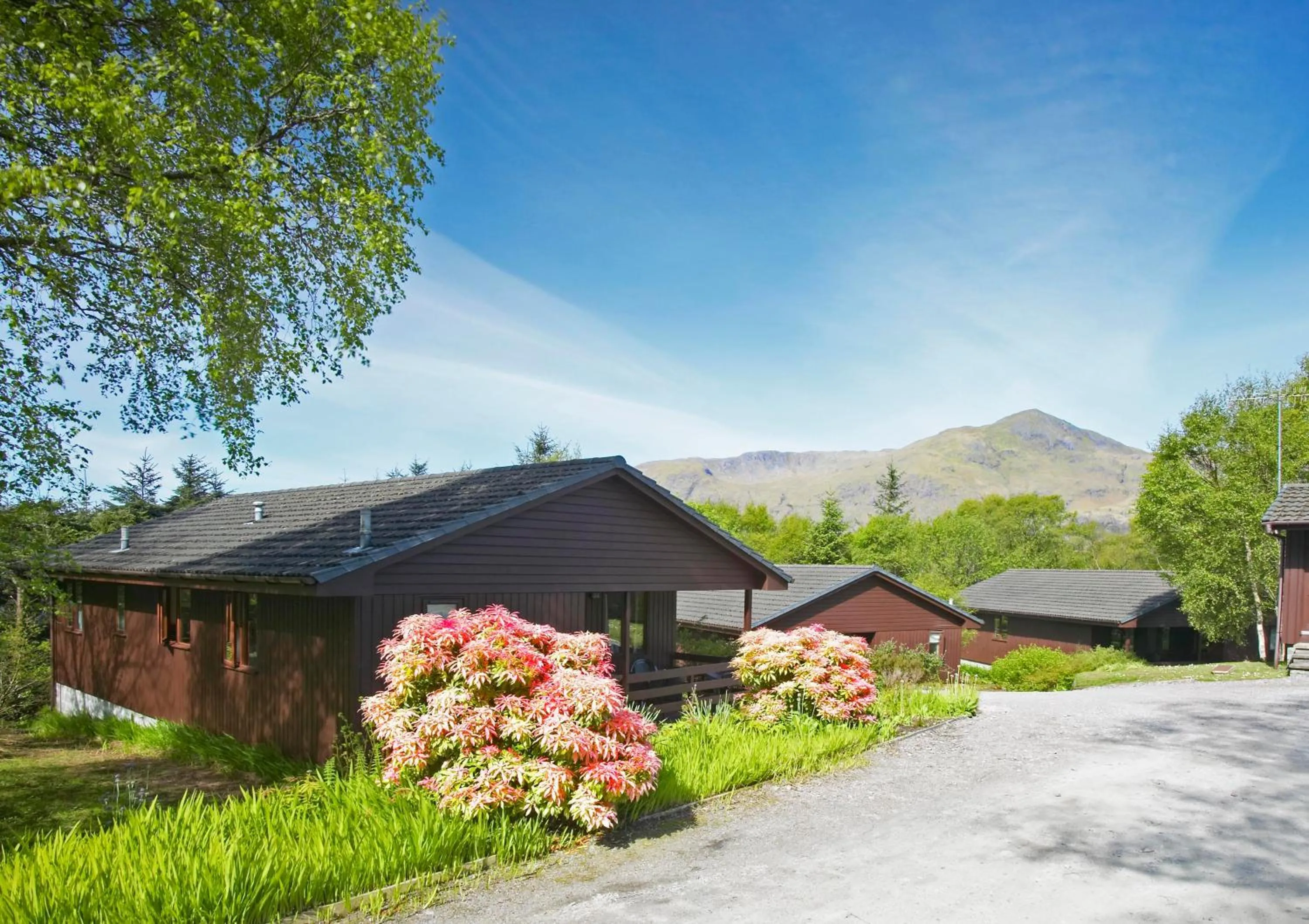 Property building in Birchbrae Highland Lodges