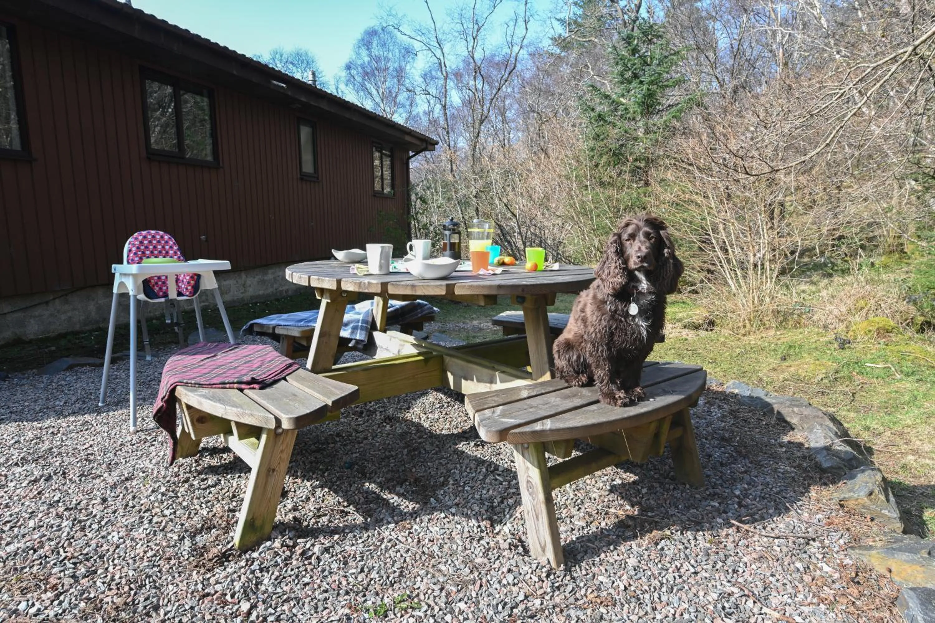 Property building in Birchbrae Highland Lodges