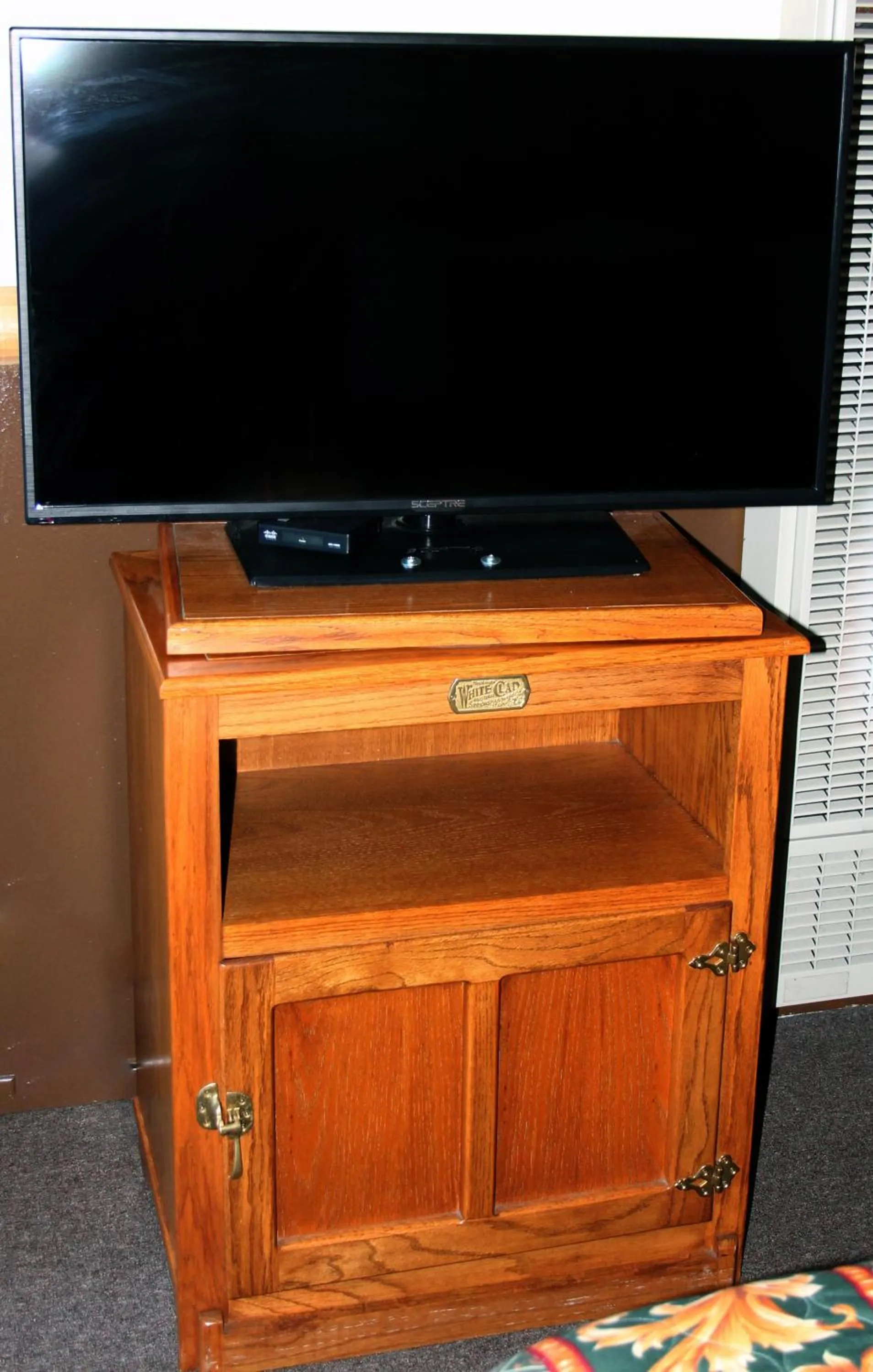 TV and multimedia in Fireside Lodge