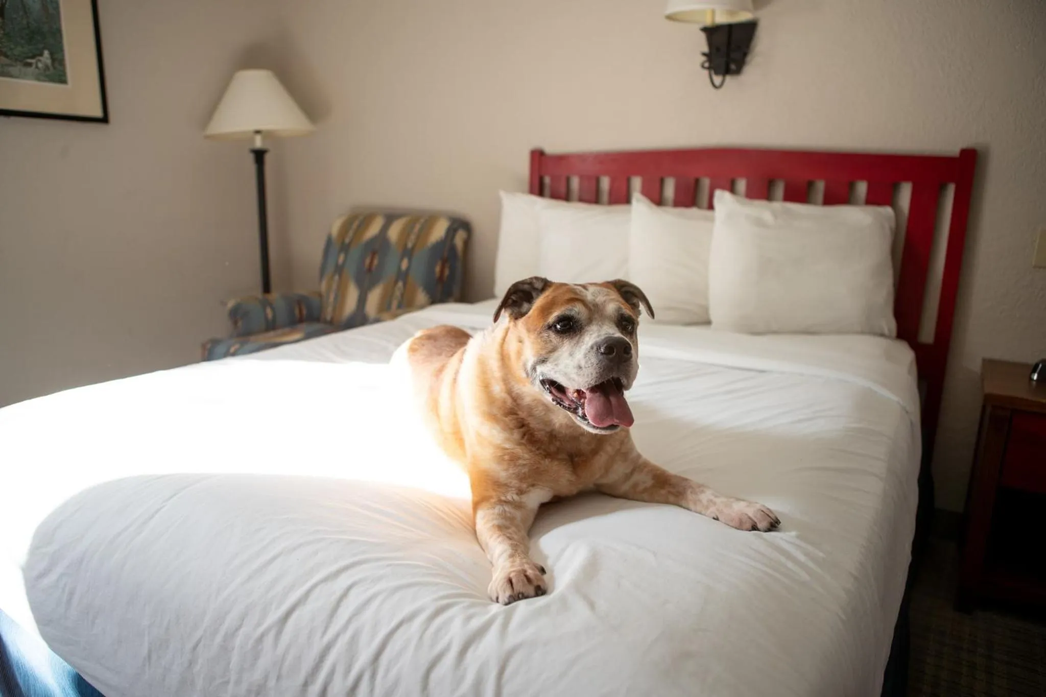 Bedroom, Bed in Wildwood Lodge