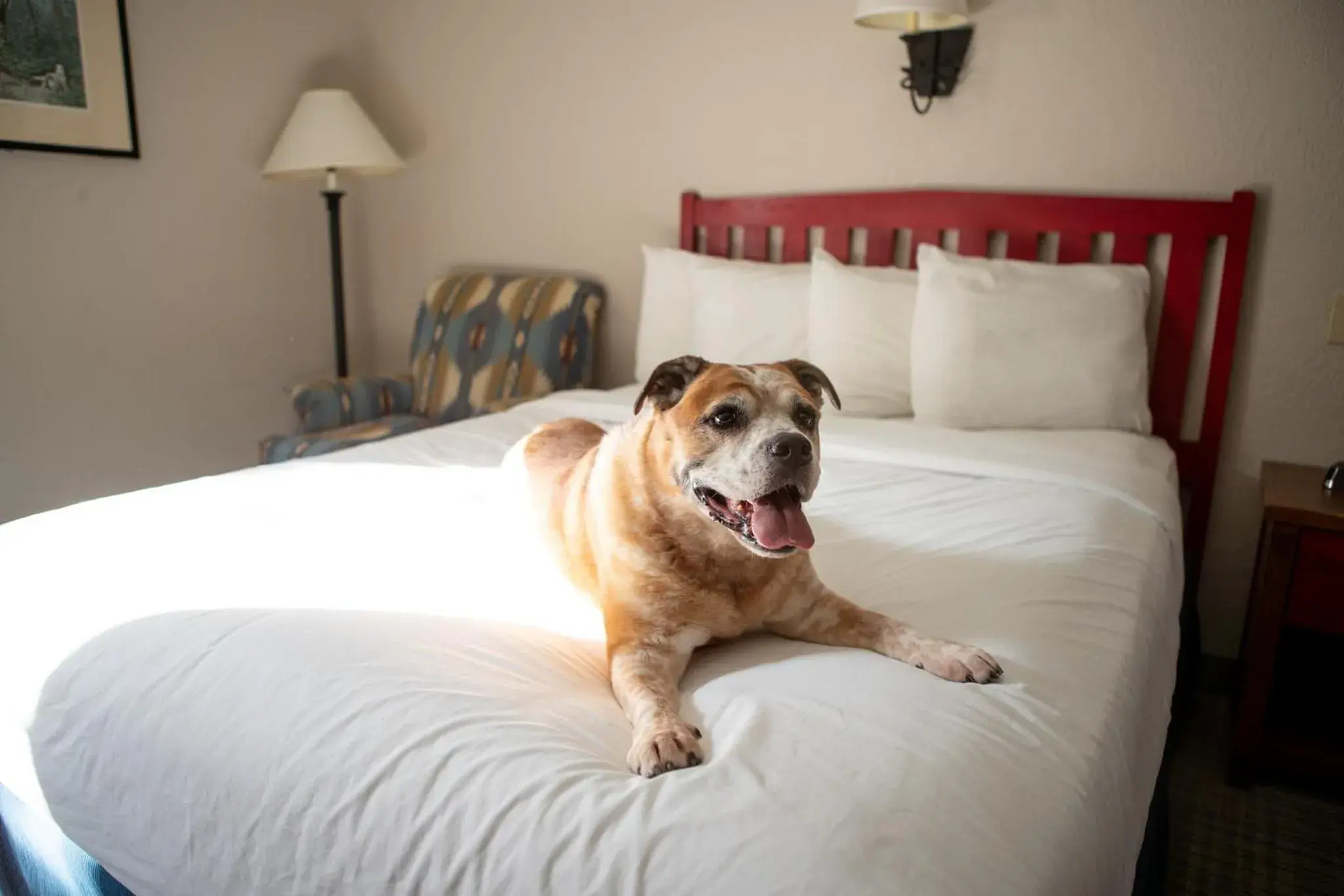 Bedroom, Bed in Wildwood Lodge Bedroom, Bed in Wildwood Lodge