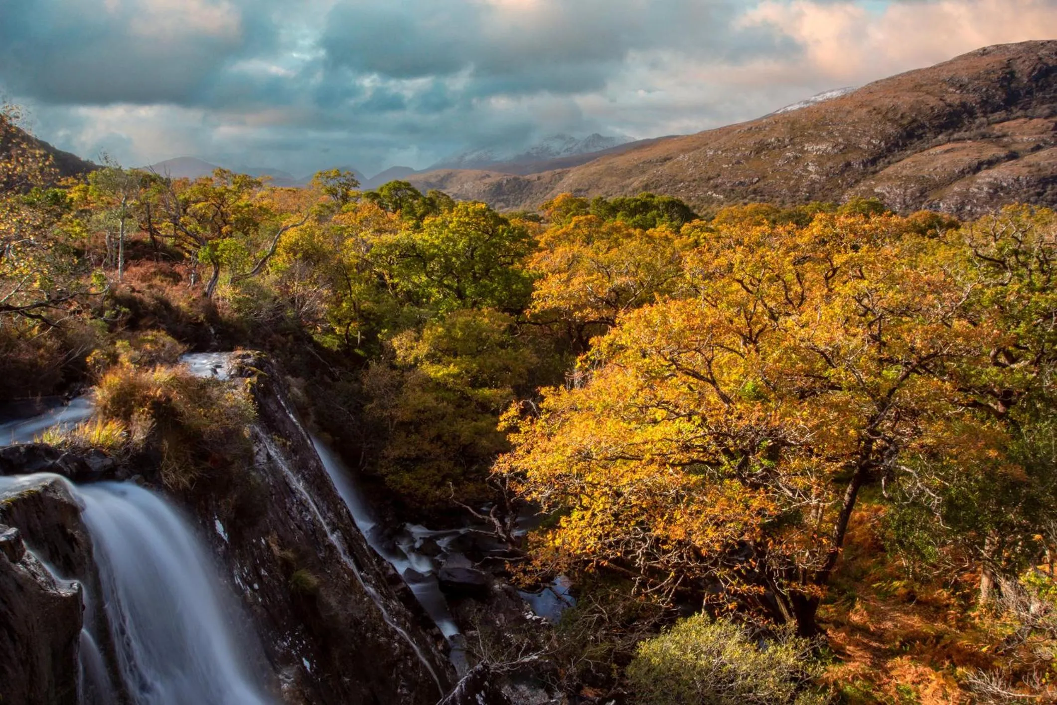 Killarney Heights Hotel
