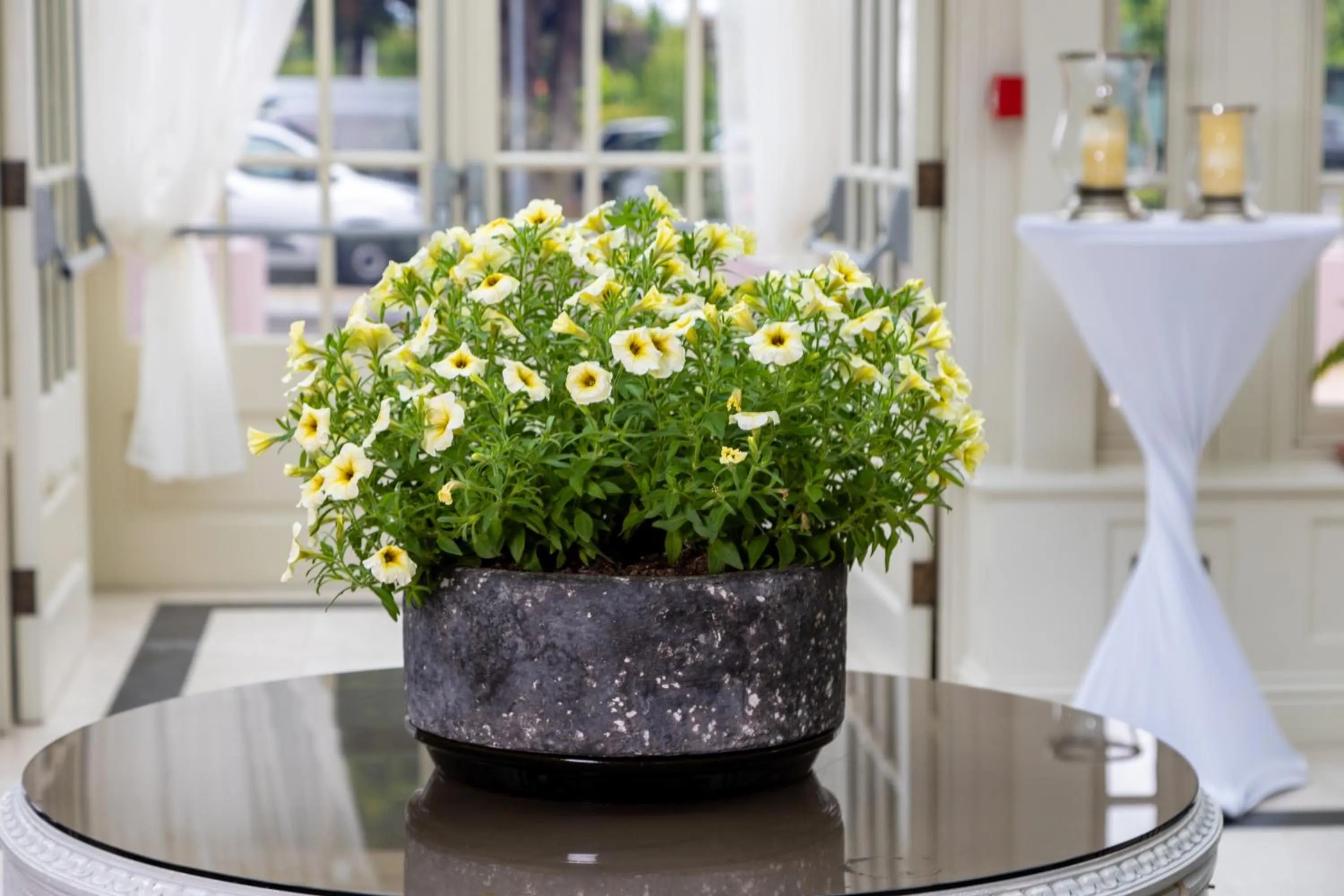 Seating area in Killarney Heights Hotel
