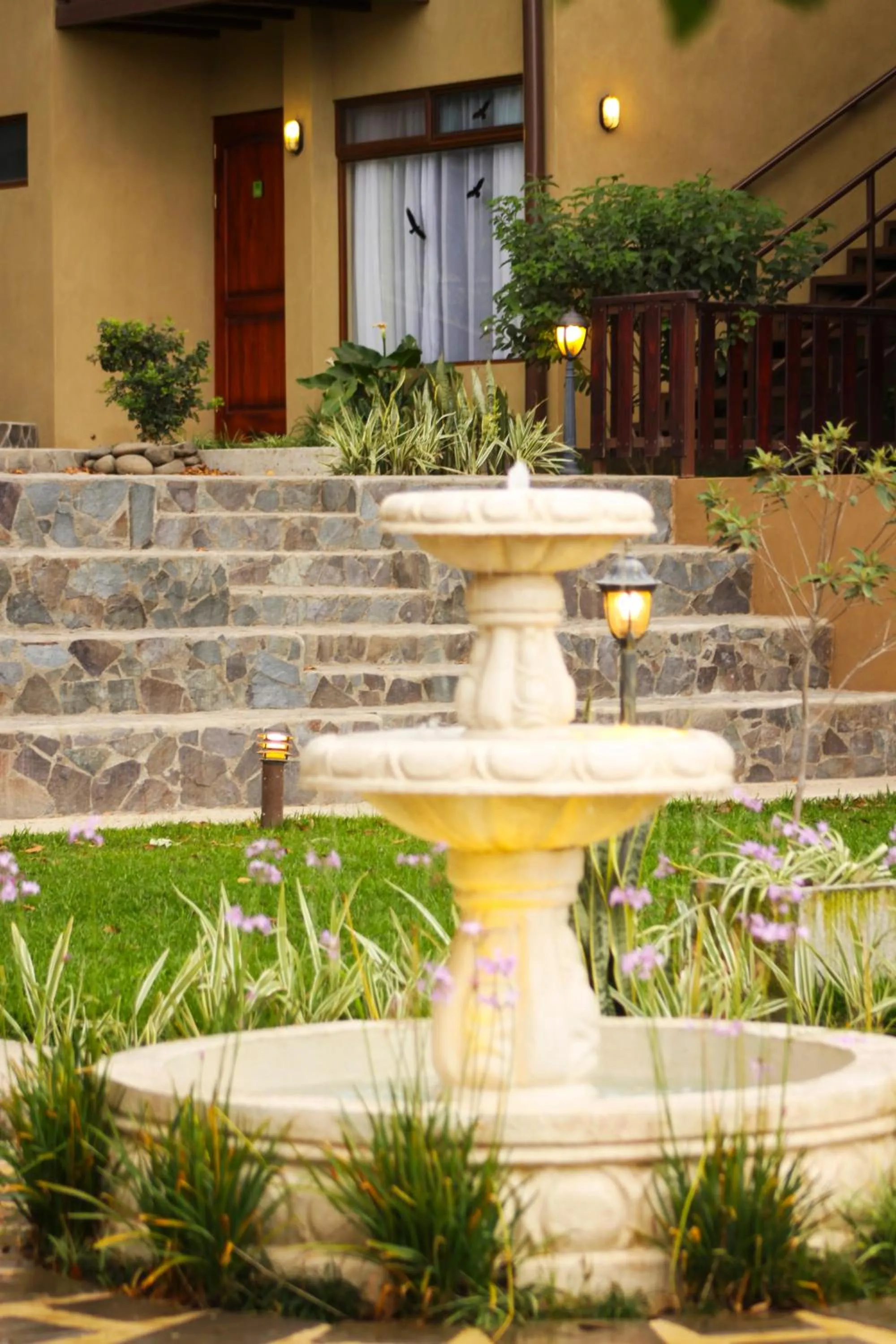 Garden in Monteverde Country Lodge - Costa Rica