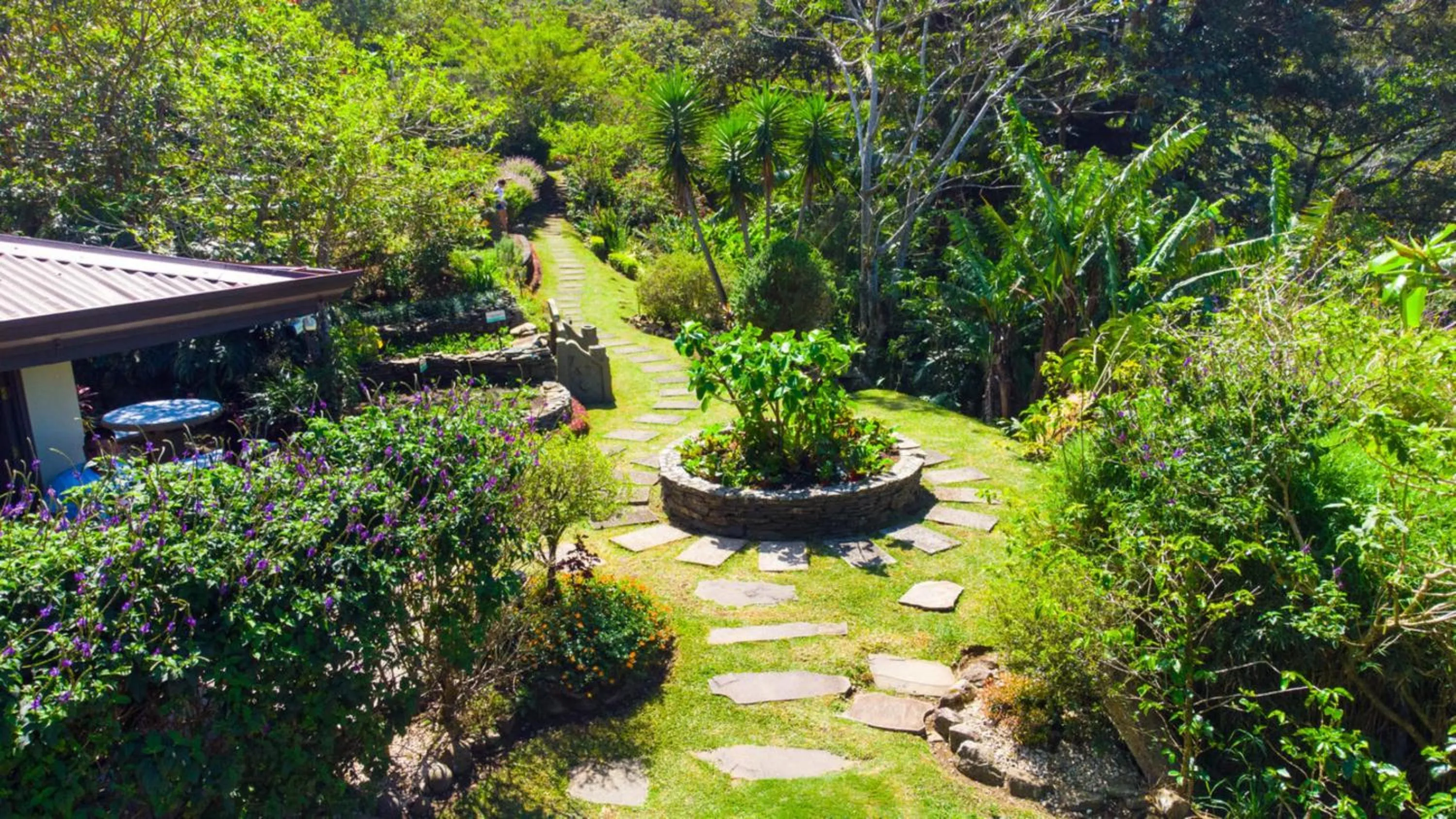 Natural landscape in Hotel & Spa Poco a Poco - Costa Rica