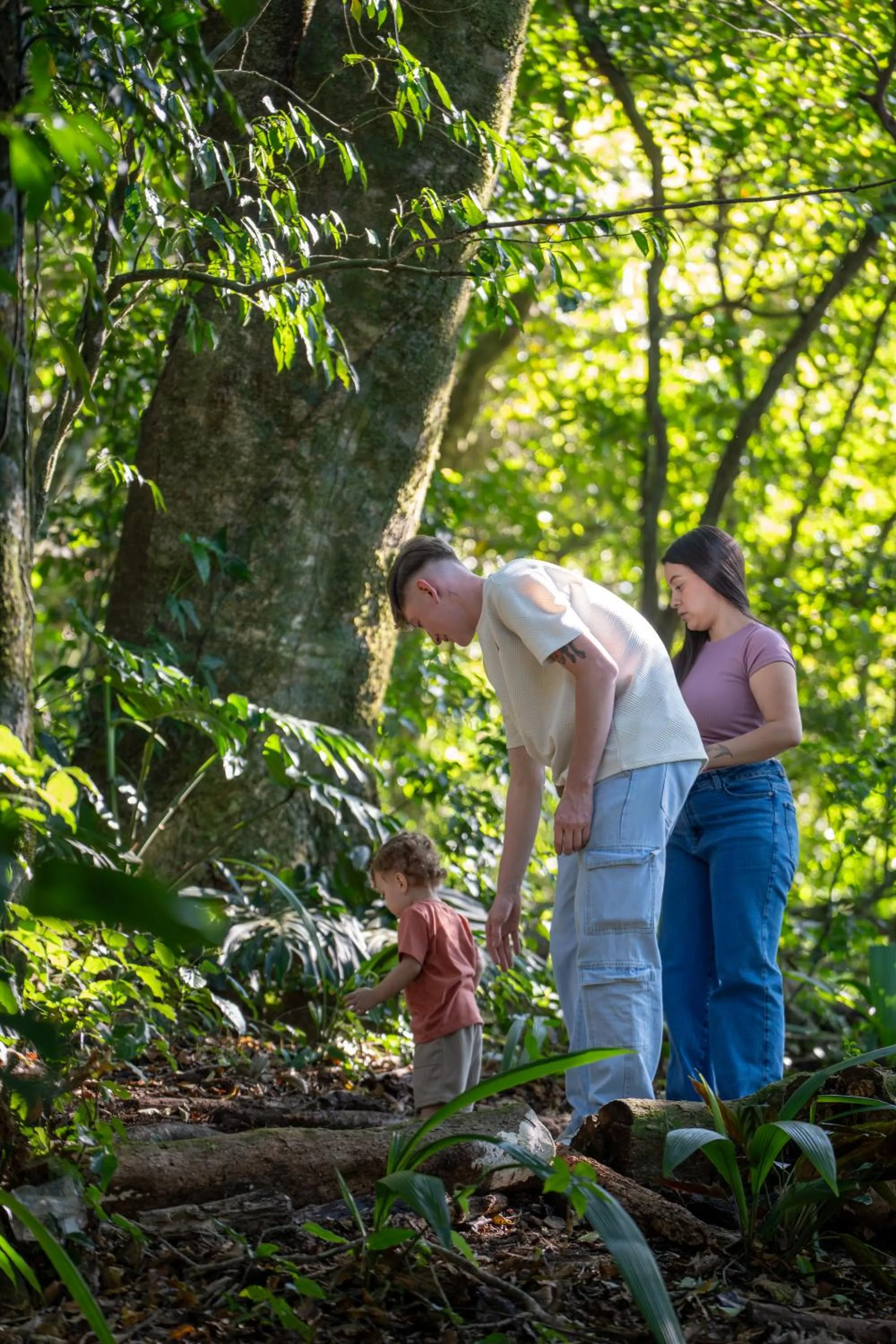 Natural landscape in Hotel & Spa Poco a Poco - Costa Rica