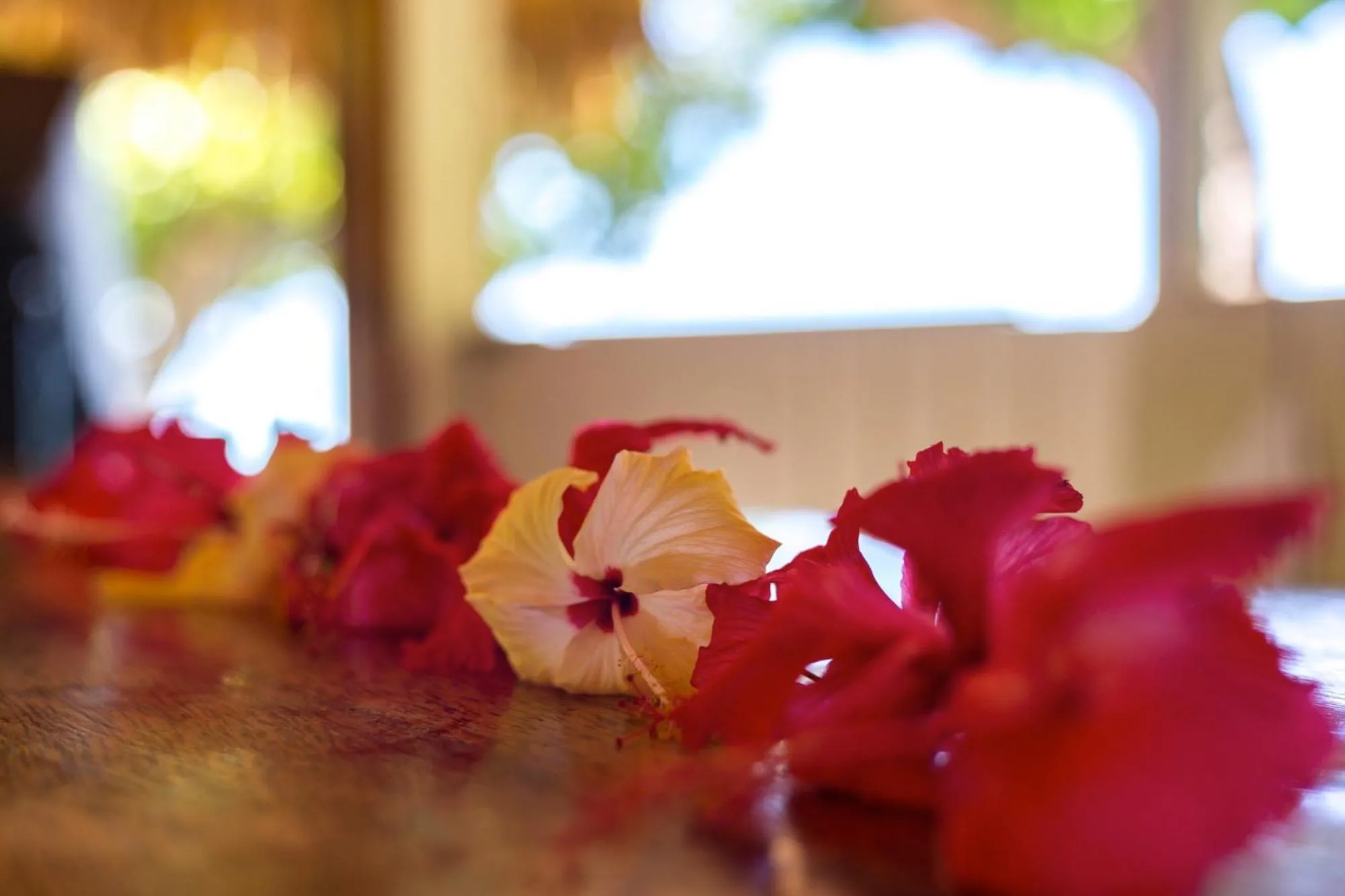 Decorative detail in Fare Edith Moorea