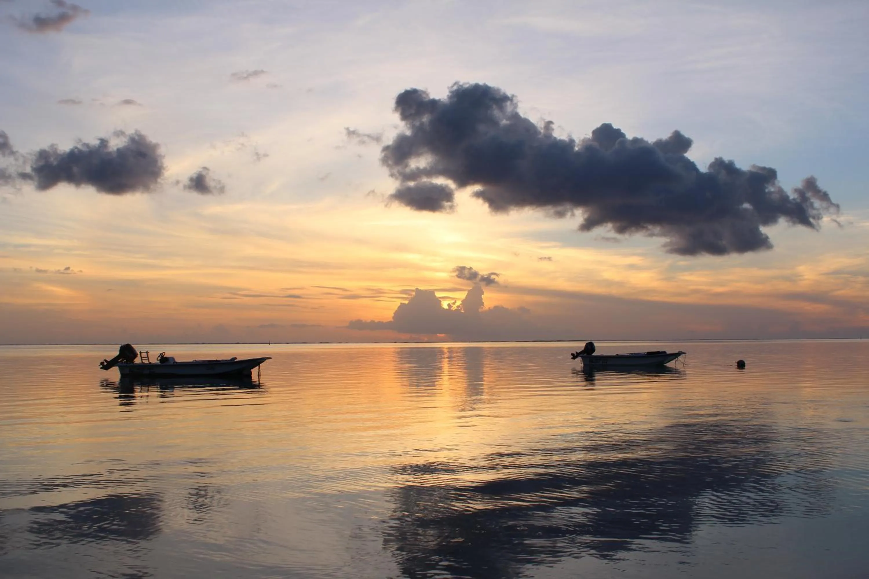 Natural landscape in Fare Edith Moorea