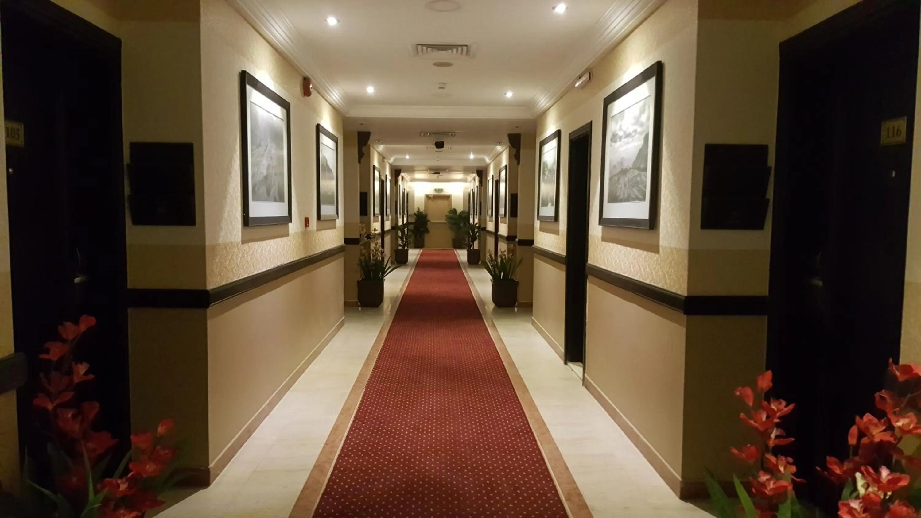 Area and facilities in Qasr Al Sahab