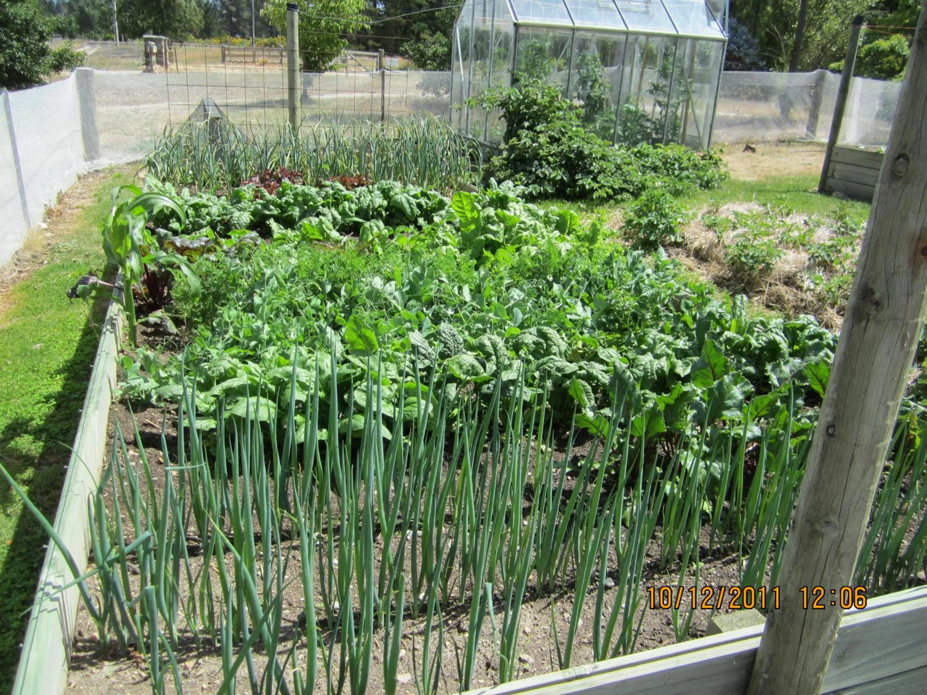 Property building in Hawkdun Rise Vineyard & Accommodation