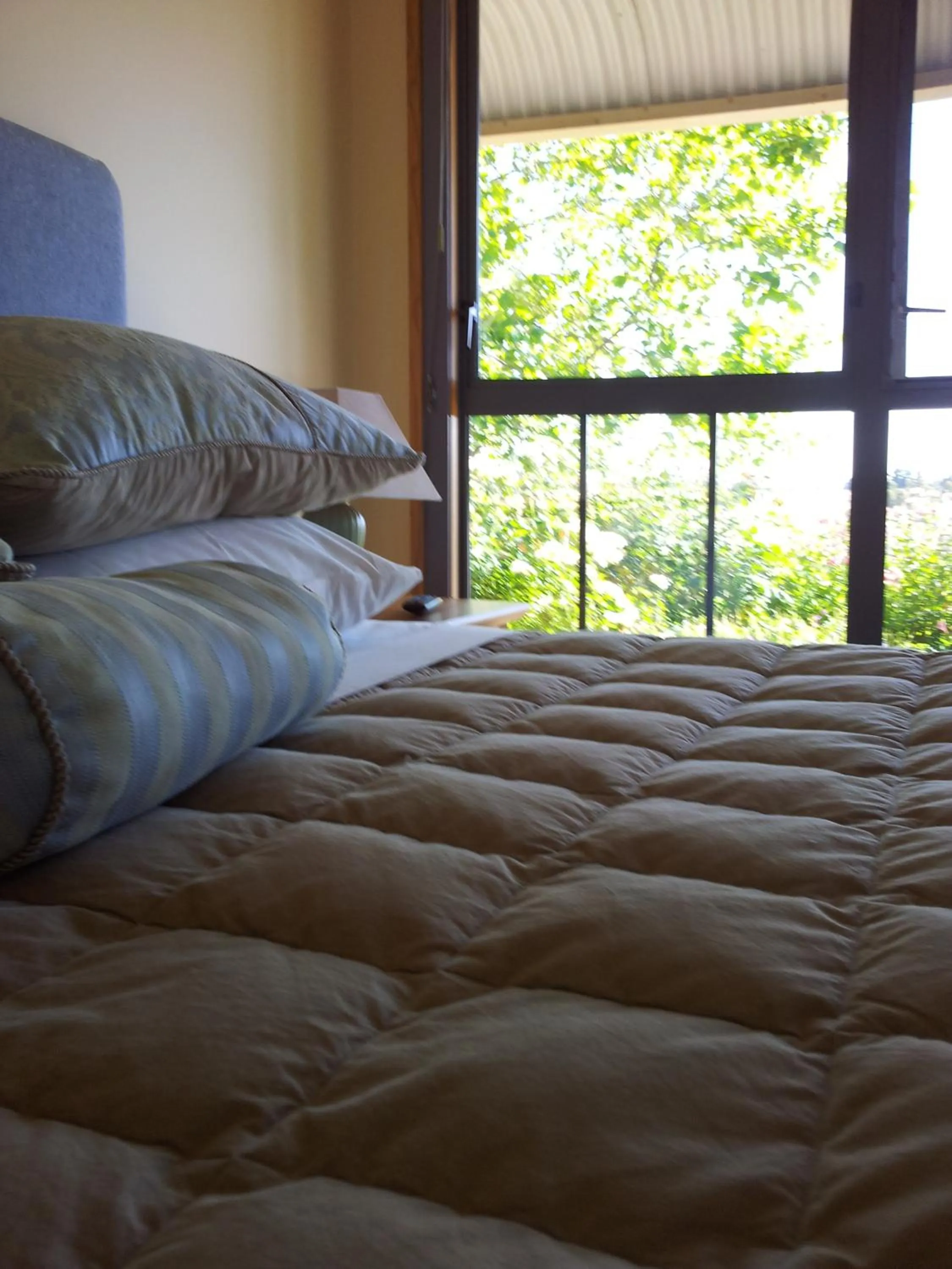 Bed in Hawkdun Rise Vineyard & Accommodation