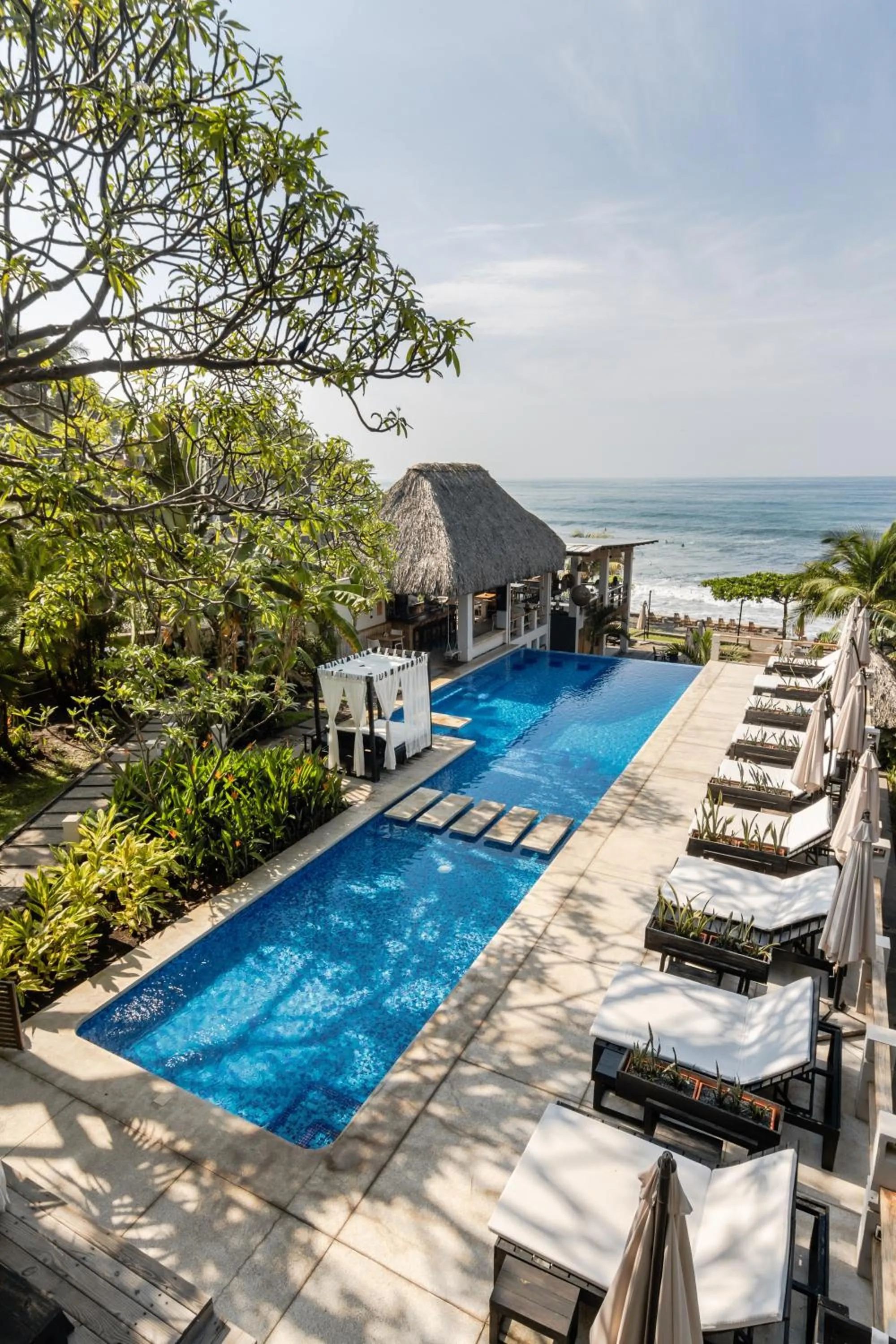 Pool view in Palo Verde Sustainable Hotel
