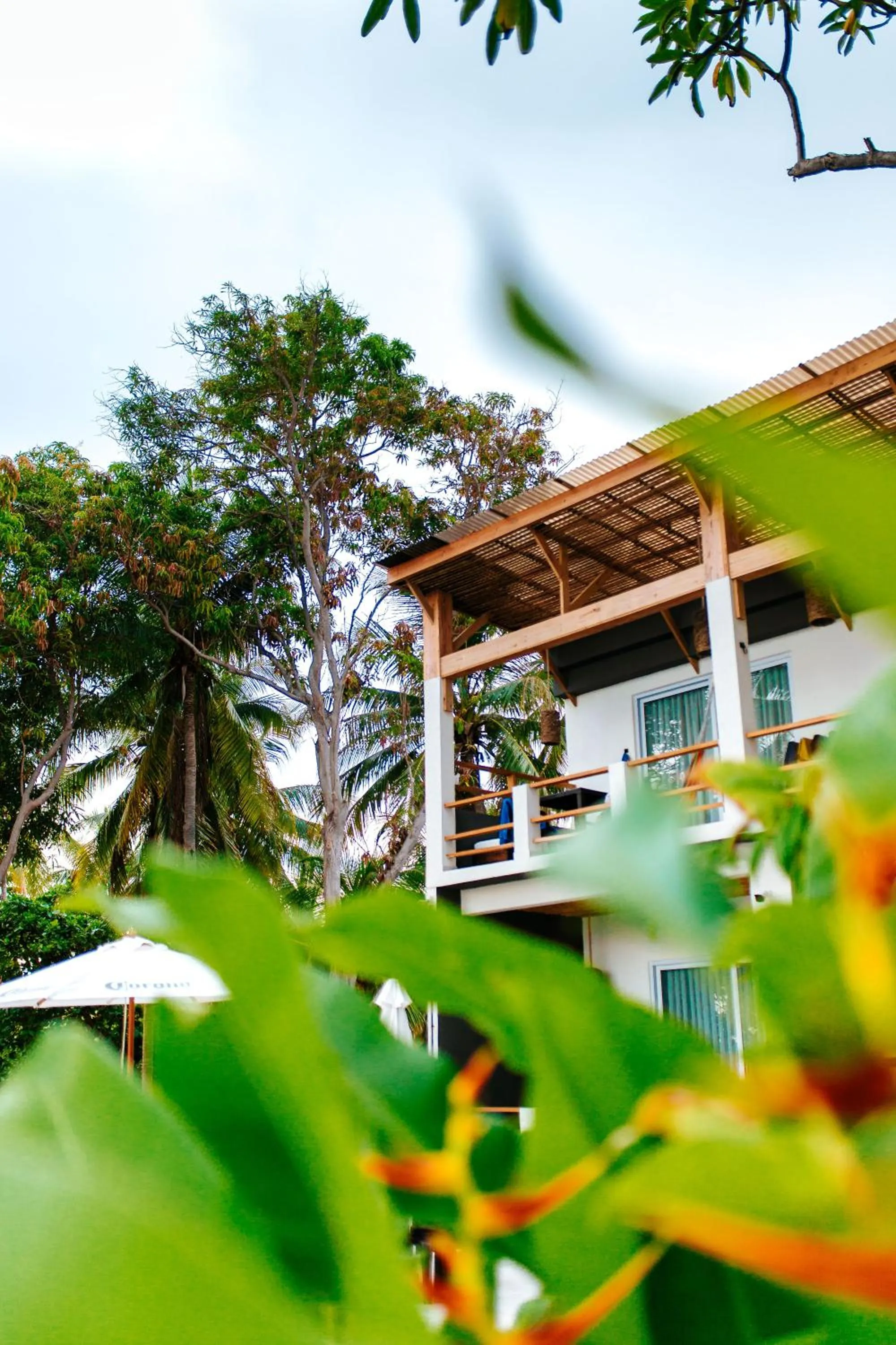 Property building in Palo Verde Sustainable Hotel