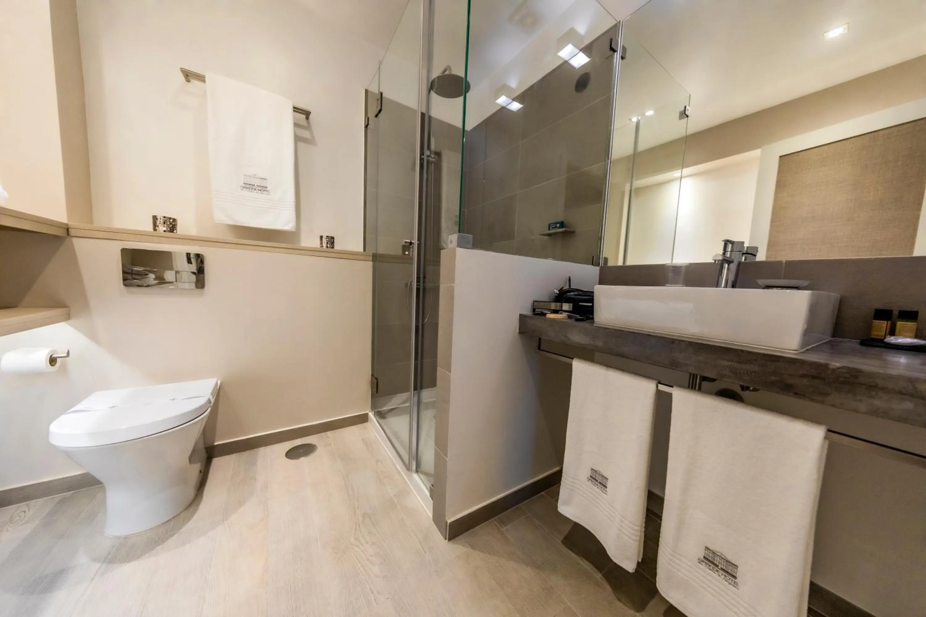 Toilet in Grande Hotel das Caldas da Felgueira