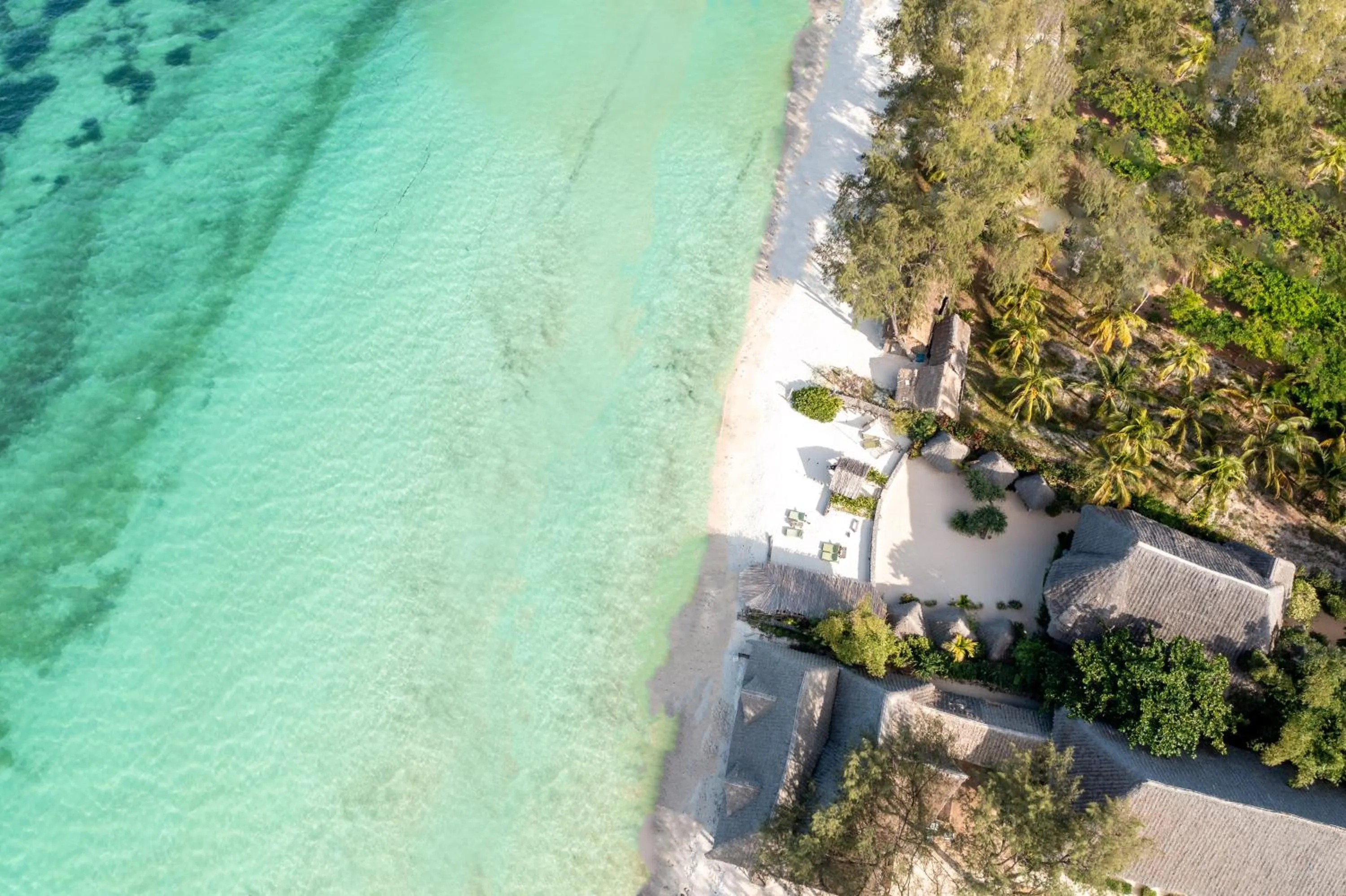 Beach in Mvuvi Boutique Resort