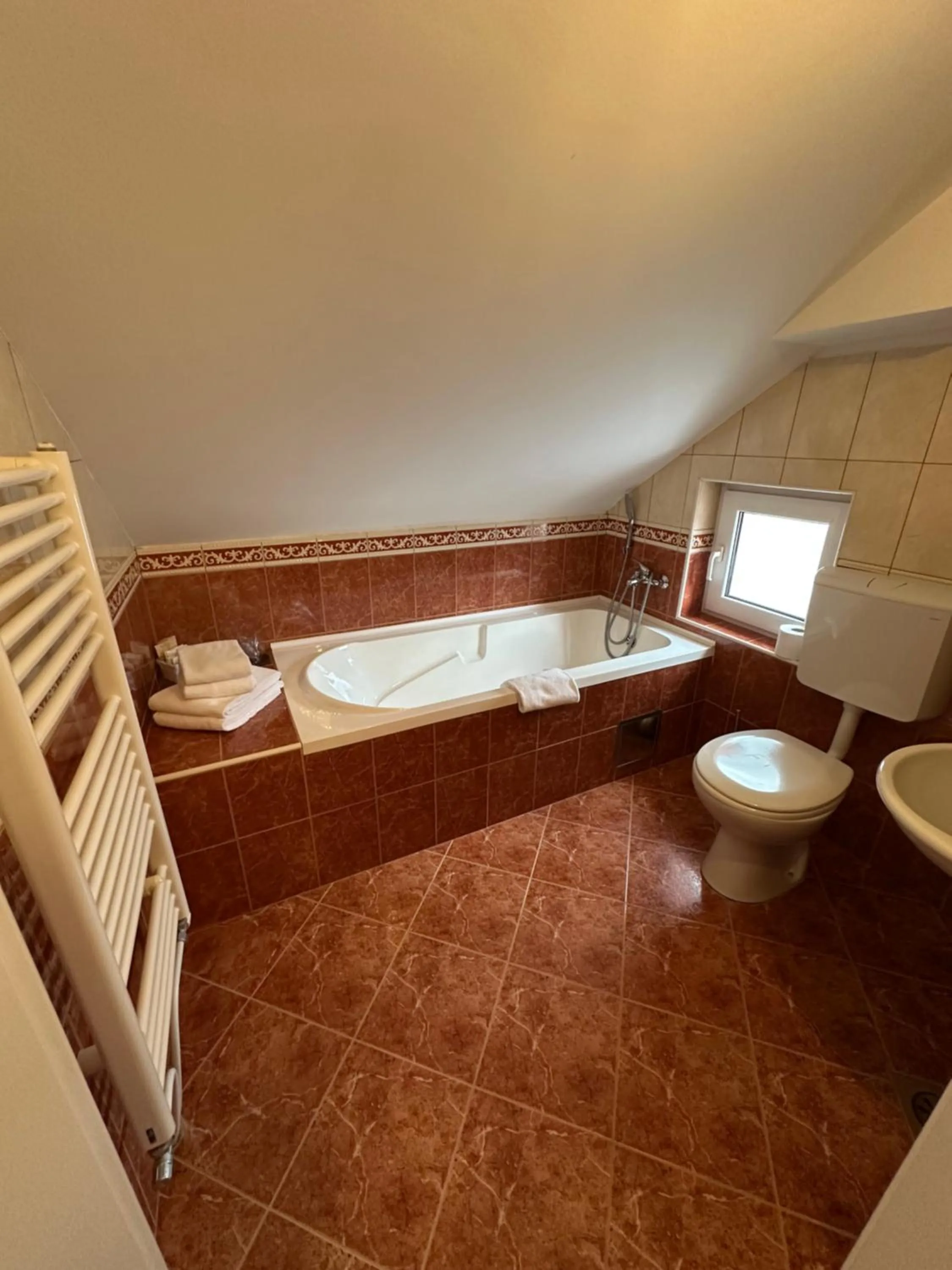 Toilet in Hotel Grande