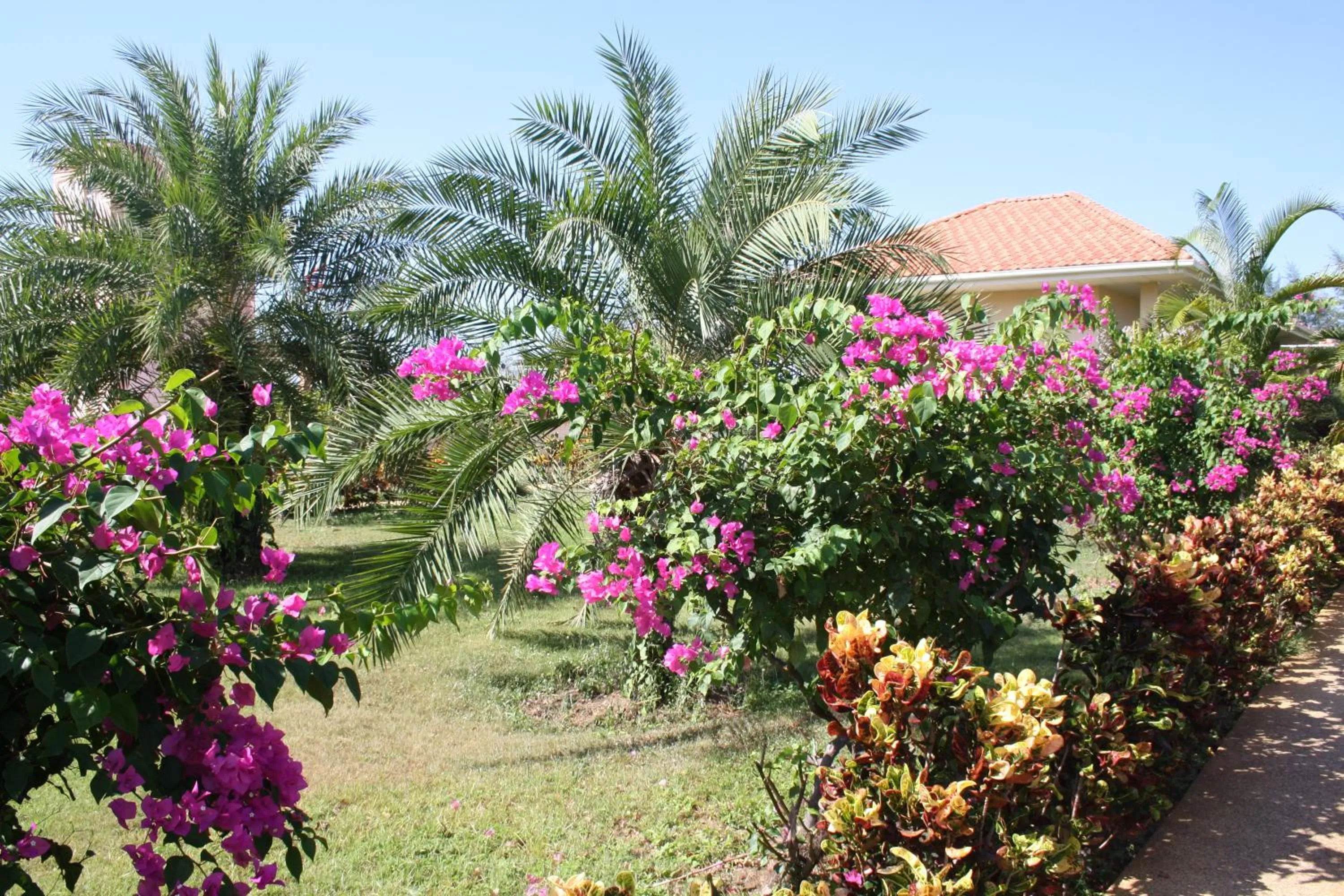 Garden in Ao Thai Resort