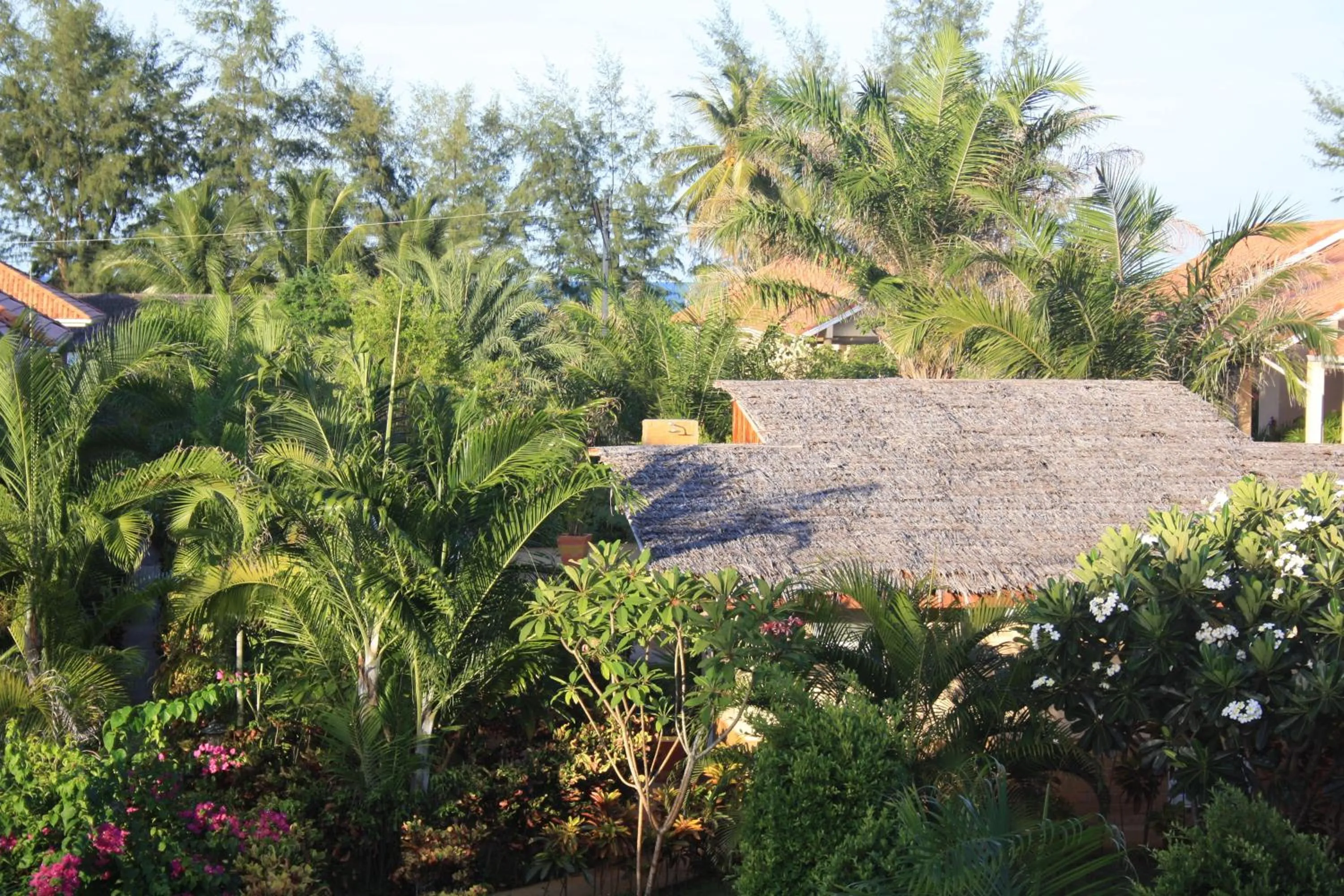Garden in Ao Thai Resort