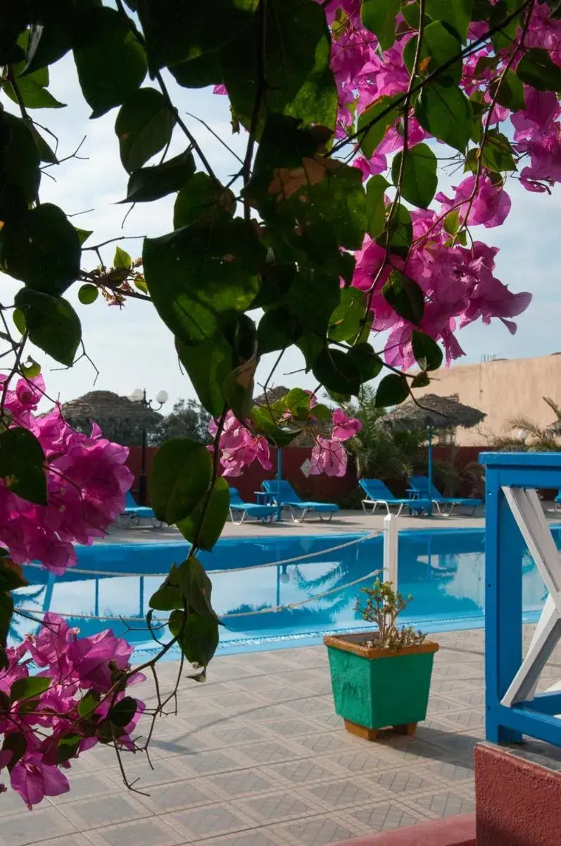 Swimming pool in Villa Michalis Swimming pool in Villa Michalis