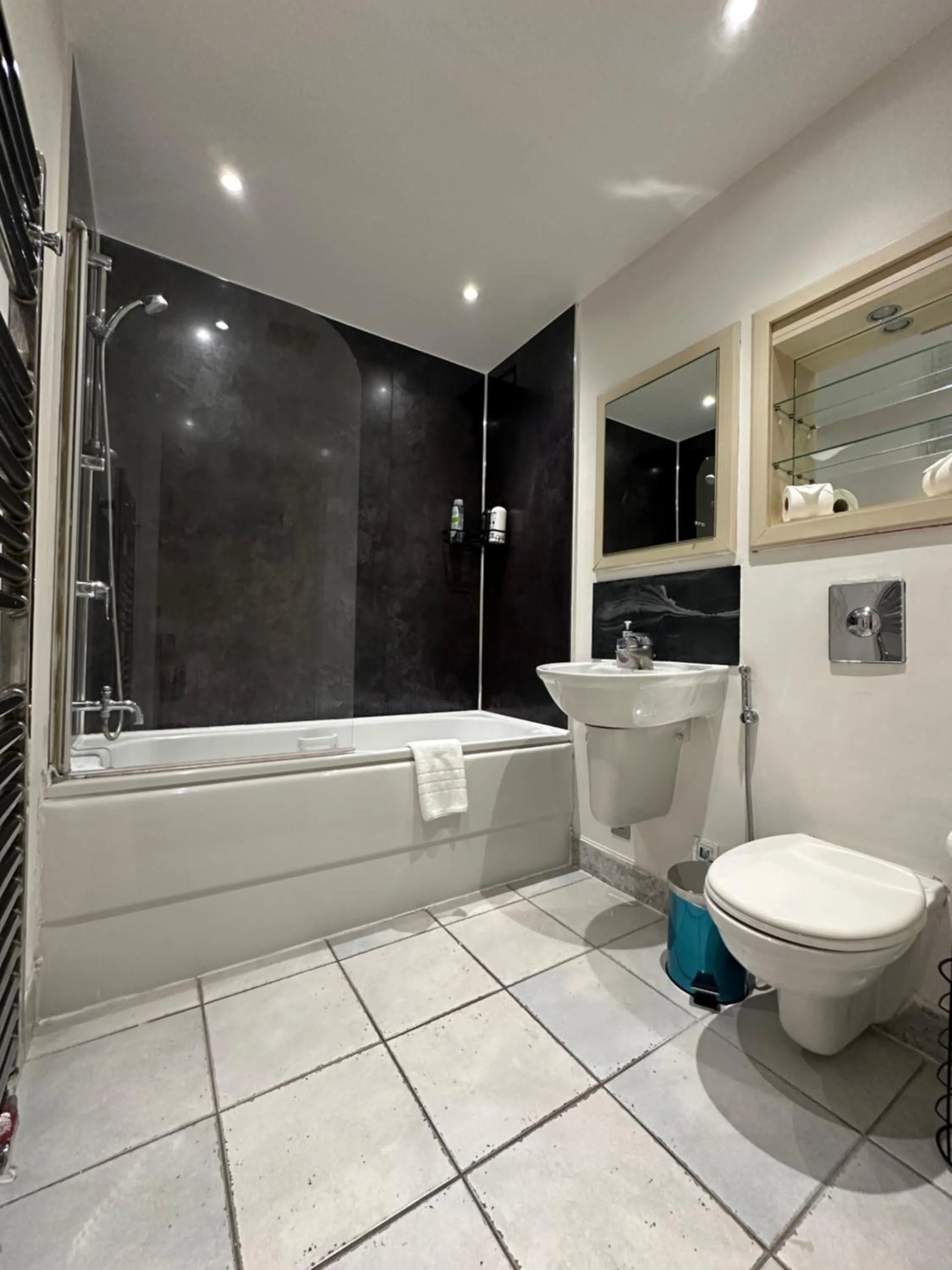 Toilet in Canary Wharf - Luxury Apartments