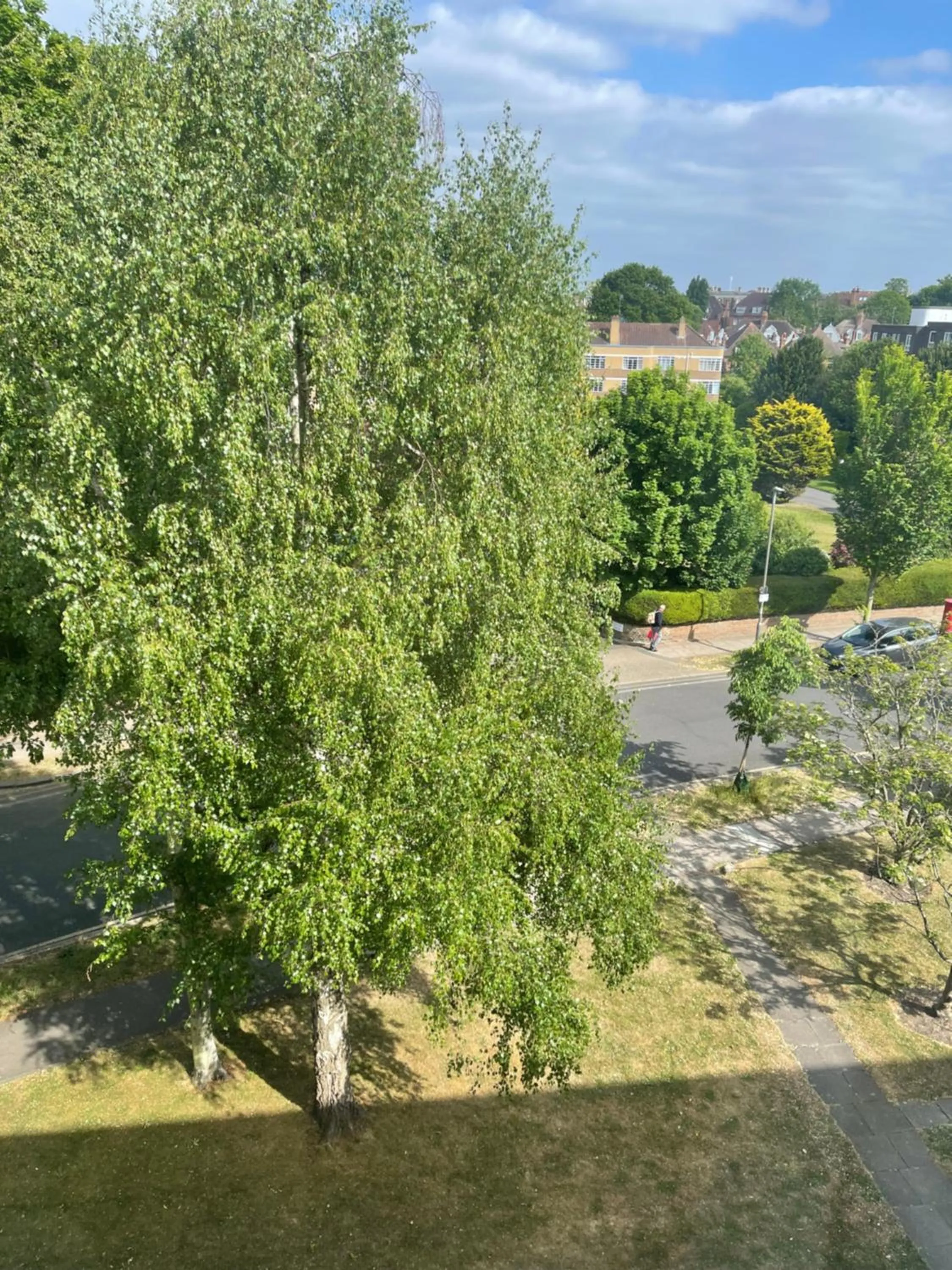 Neighbourhood in Canary Wharf - Luxury Apartments