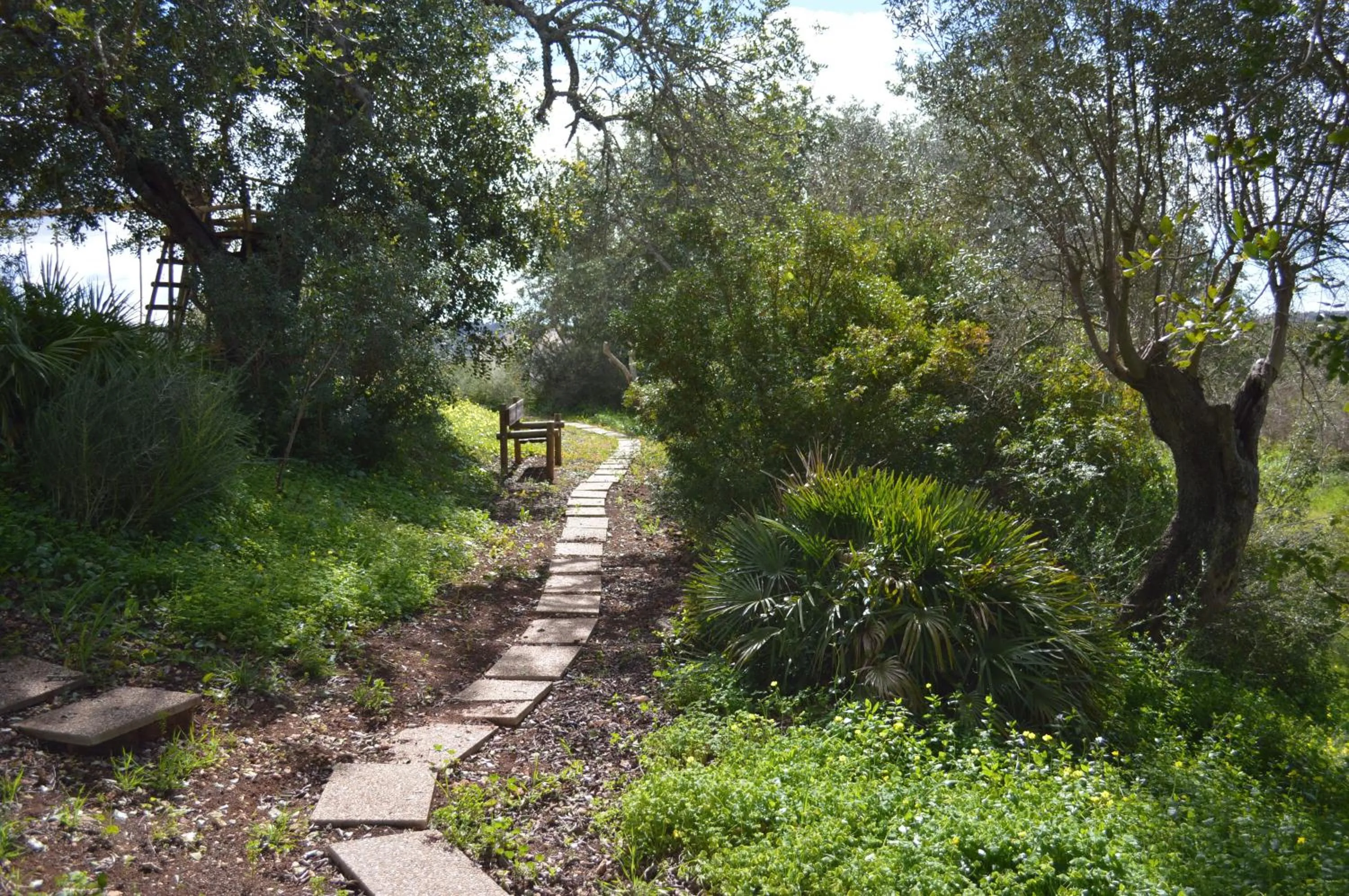 Garden in Quinta da Mesquita