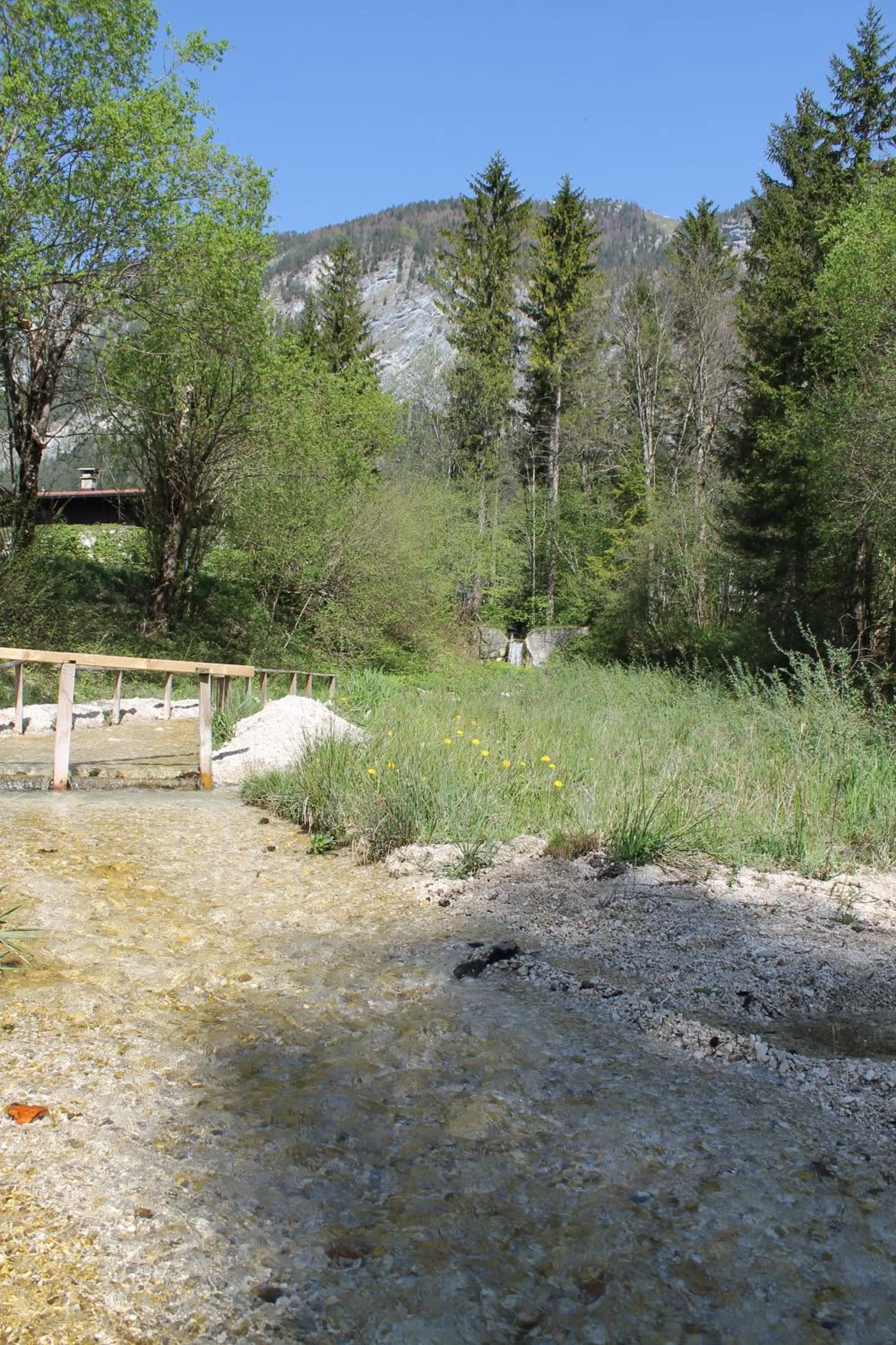 Activities in Hotel Kraftquelle Schlossblick