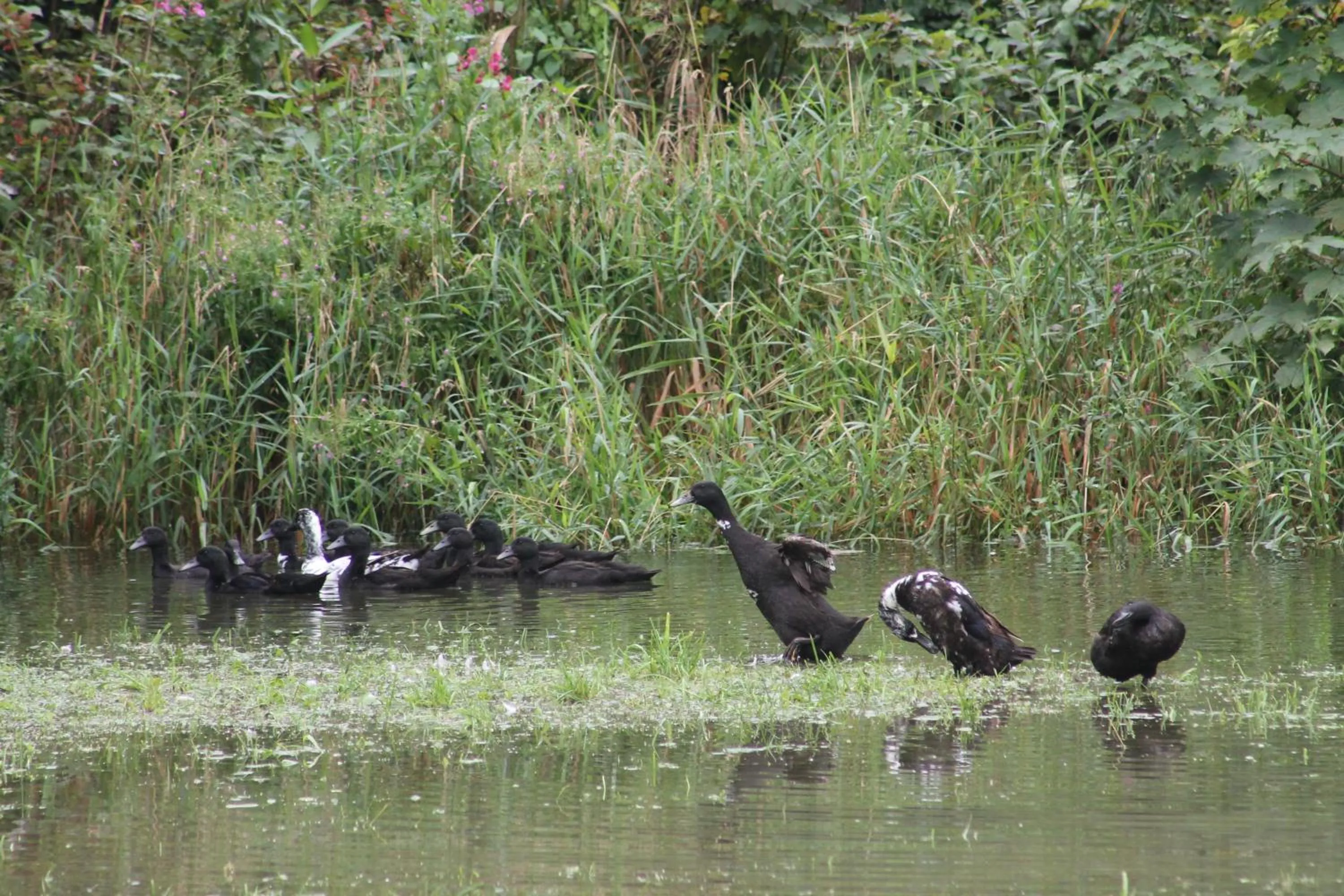 Area and facilities in Hotel Kraftquelle Schlossblick
