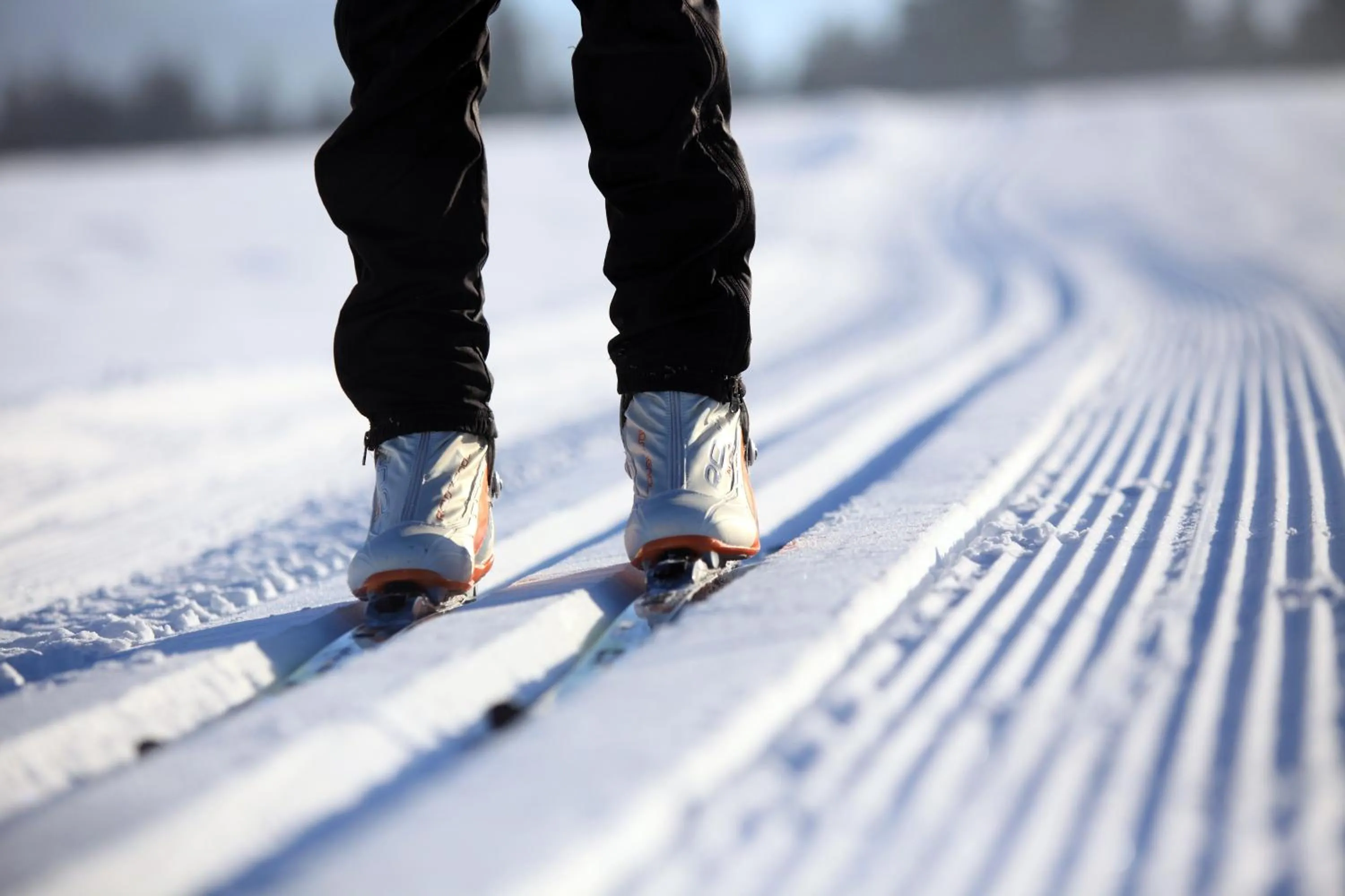 Skiing in Hotel Kraftquelle Schlossblick
