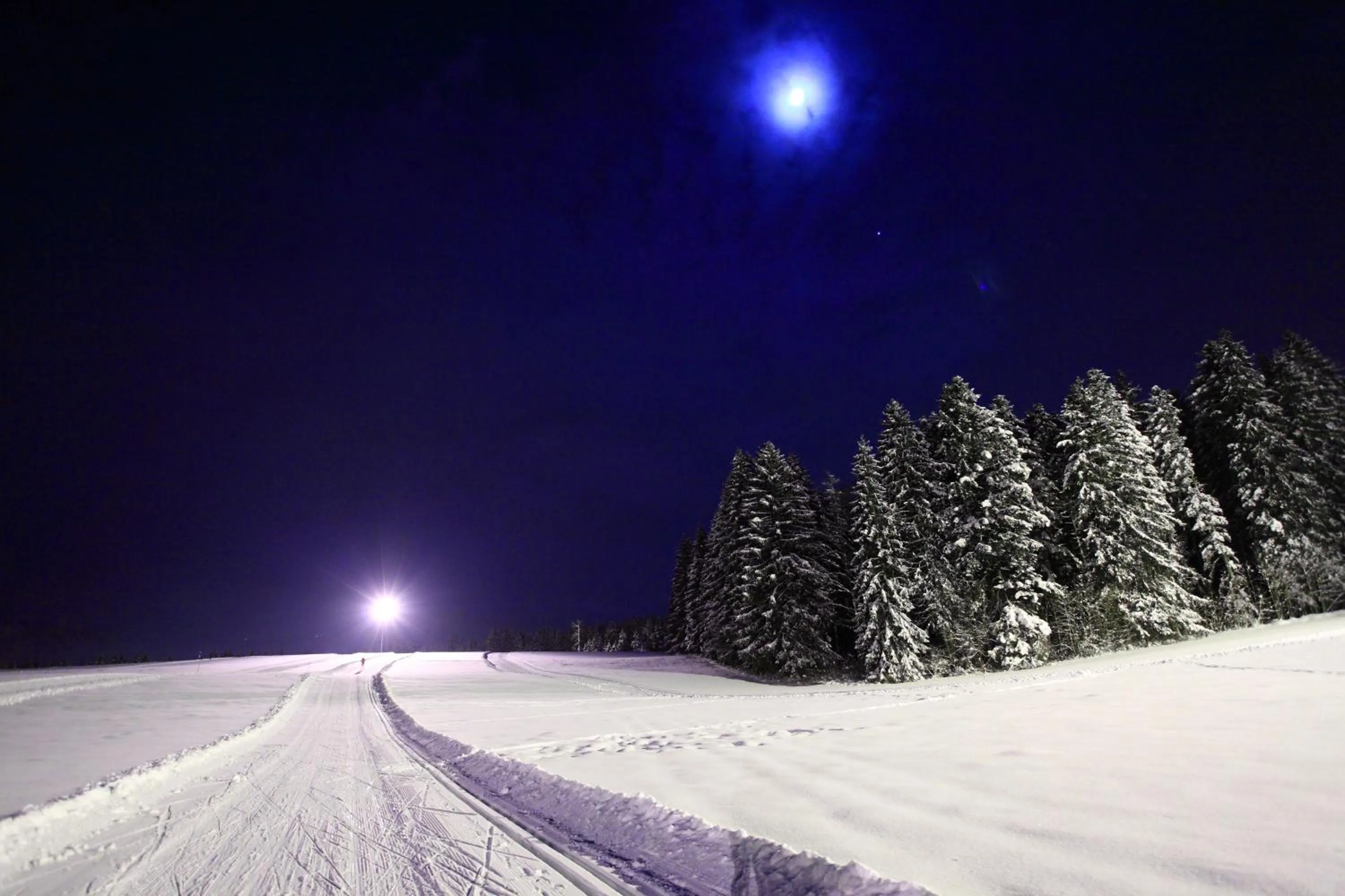 Skiing in Hotel Kraftquelle Schlossblick