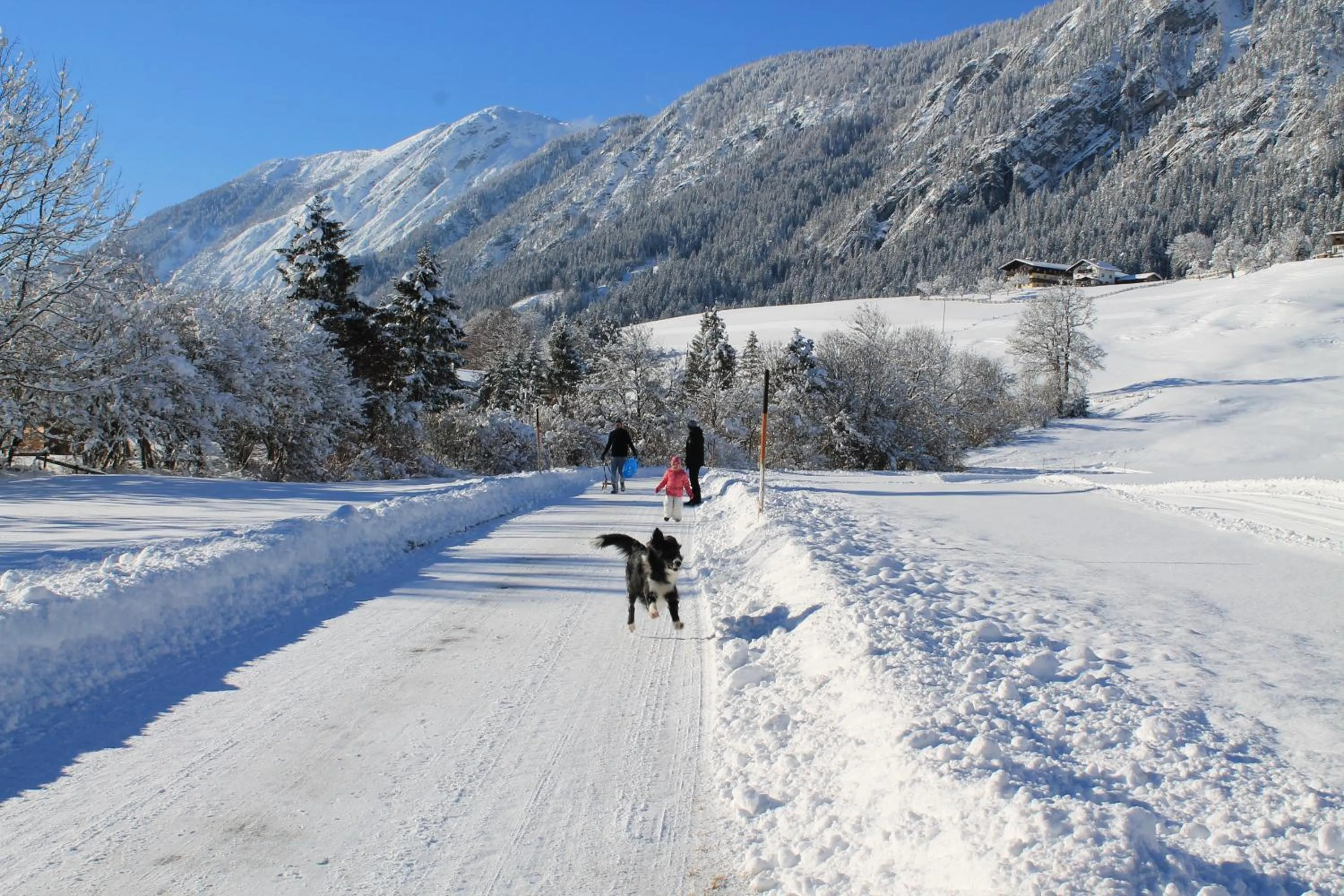 Area and facilities in Hotel Kraftquelle Schlossblick