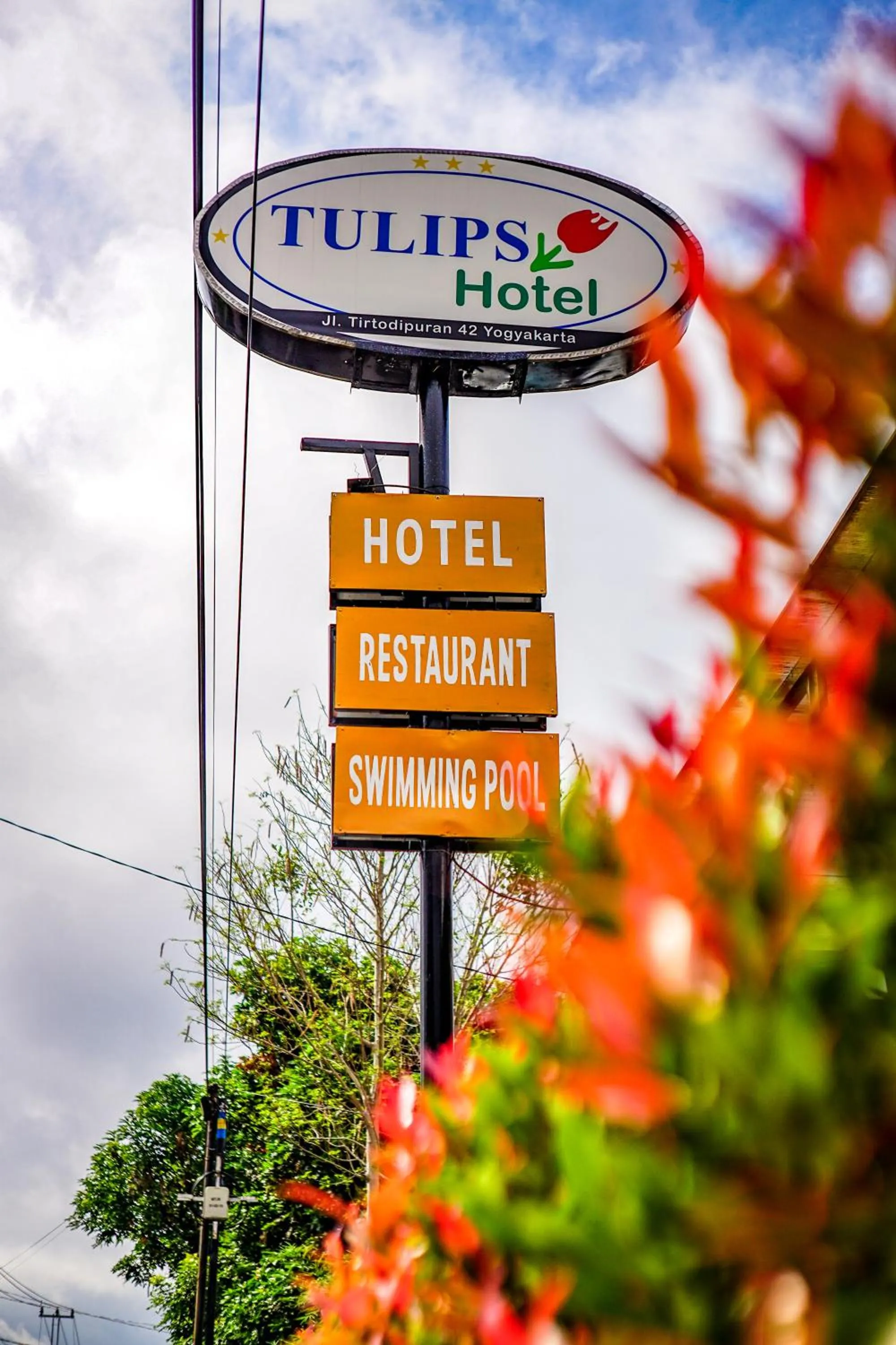 Hotel Tulips