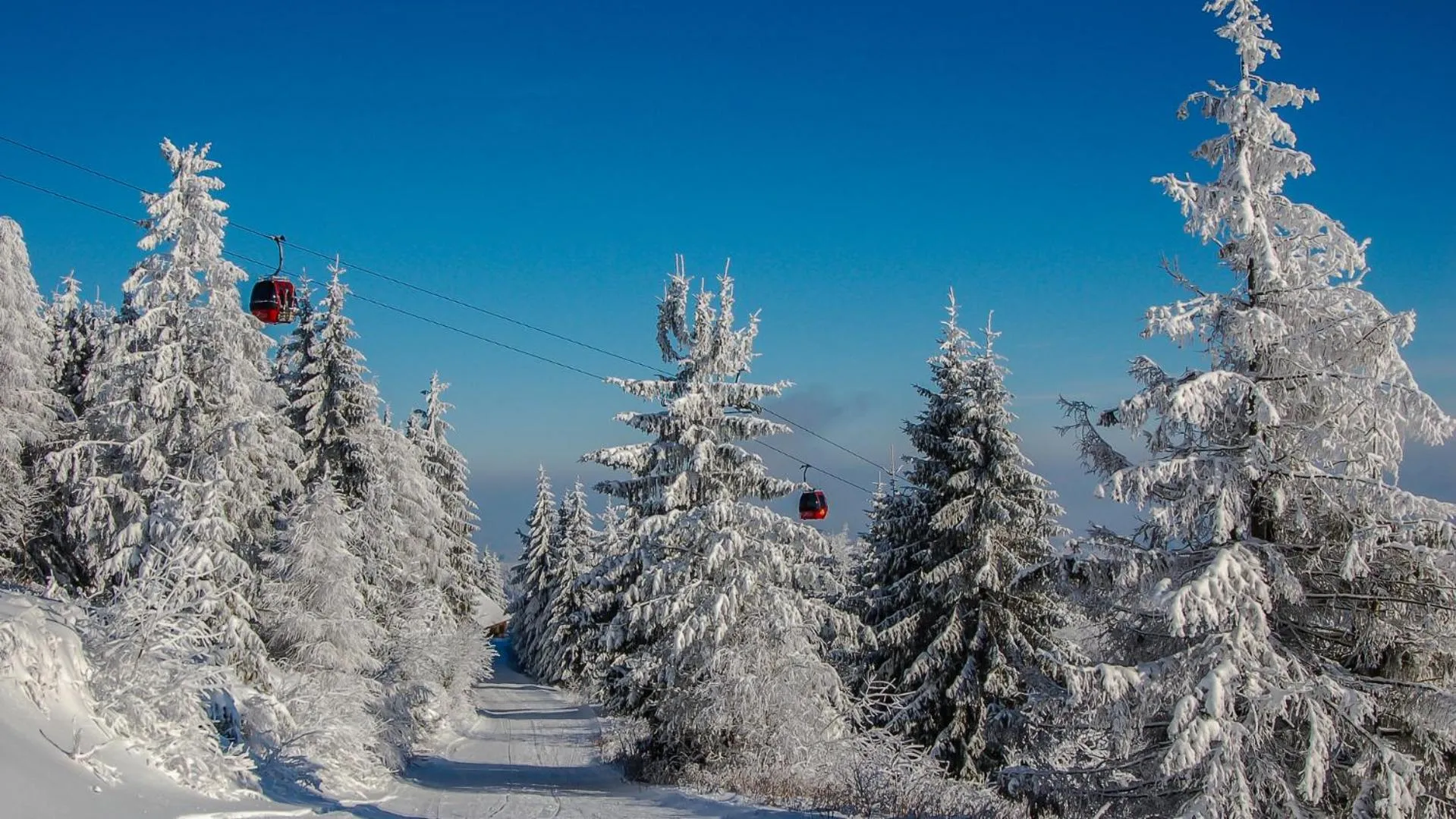 Winter in Hotel Czarny Potok Resort SPA & Conference