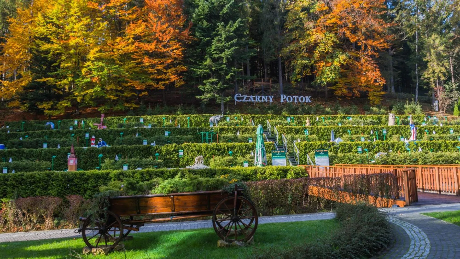 Autumn in Hotel Czarny Potok Resort SPA & Conference
