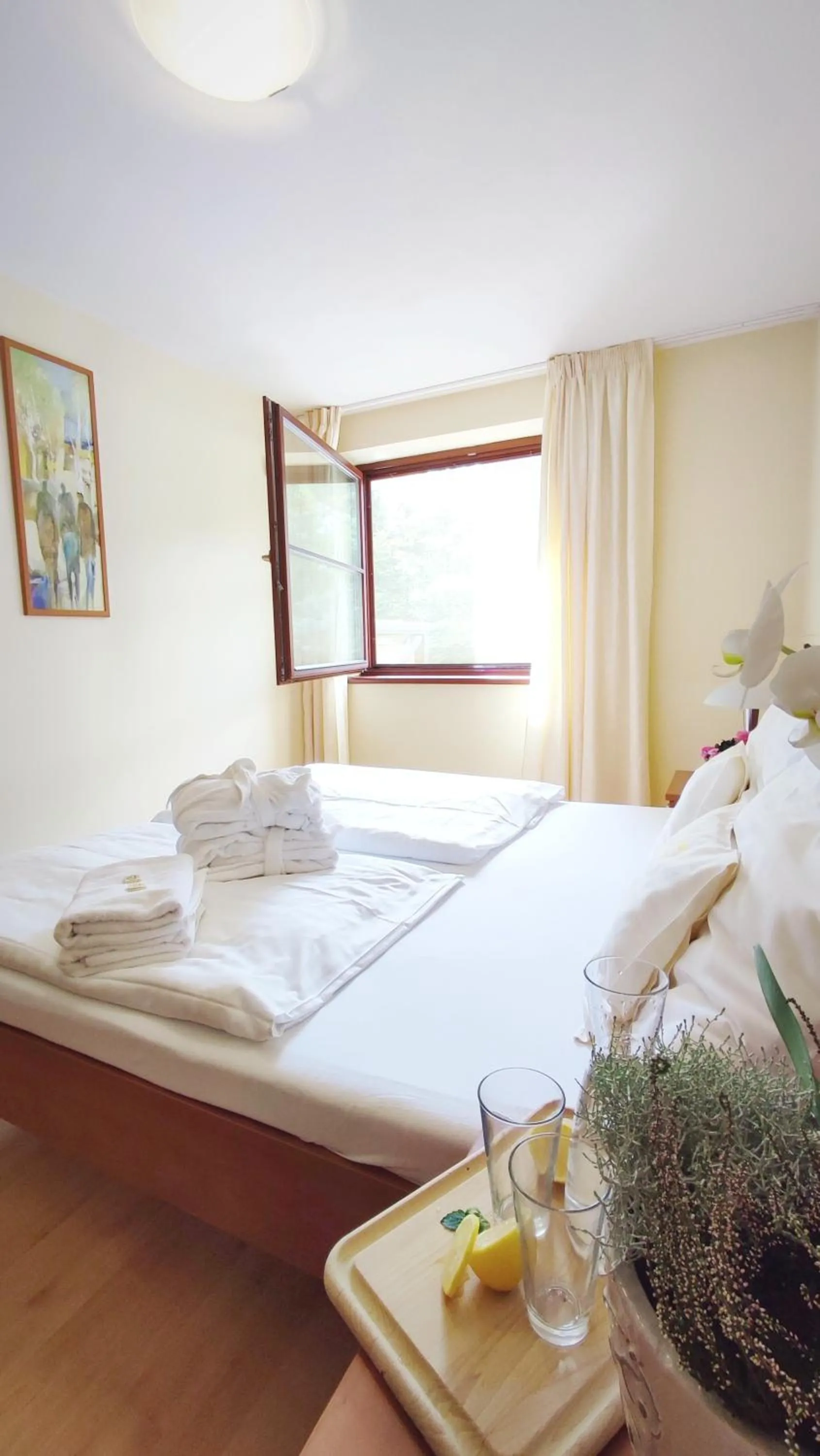 Triple Room in Hotel Ambra