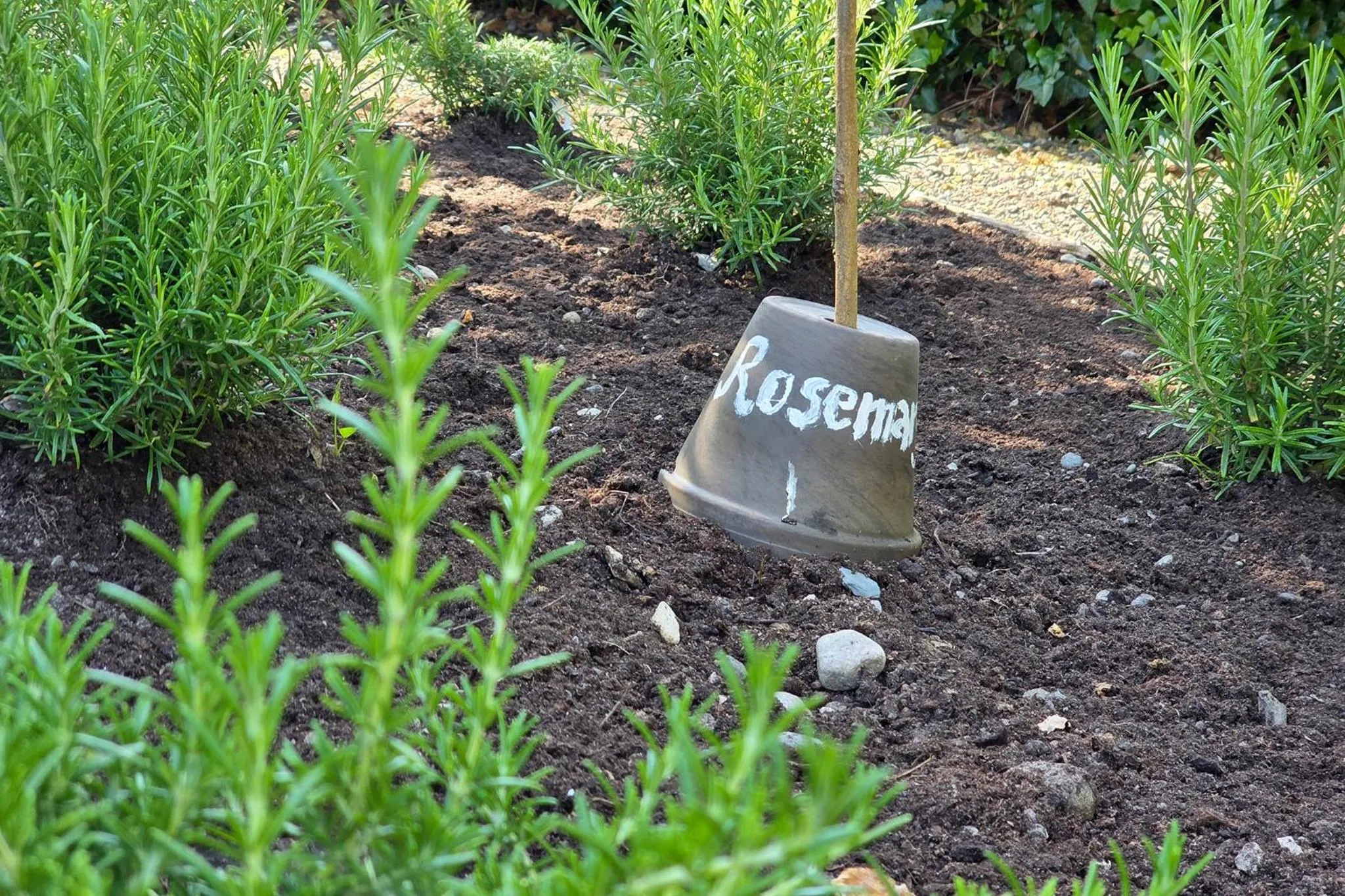 Renvyle House Hotel & Resort