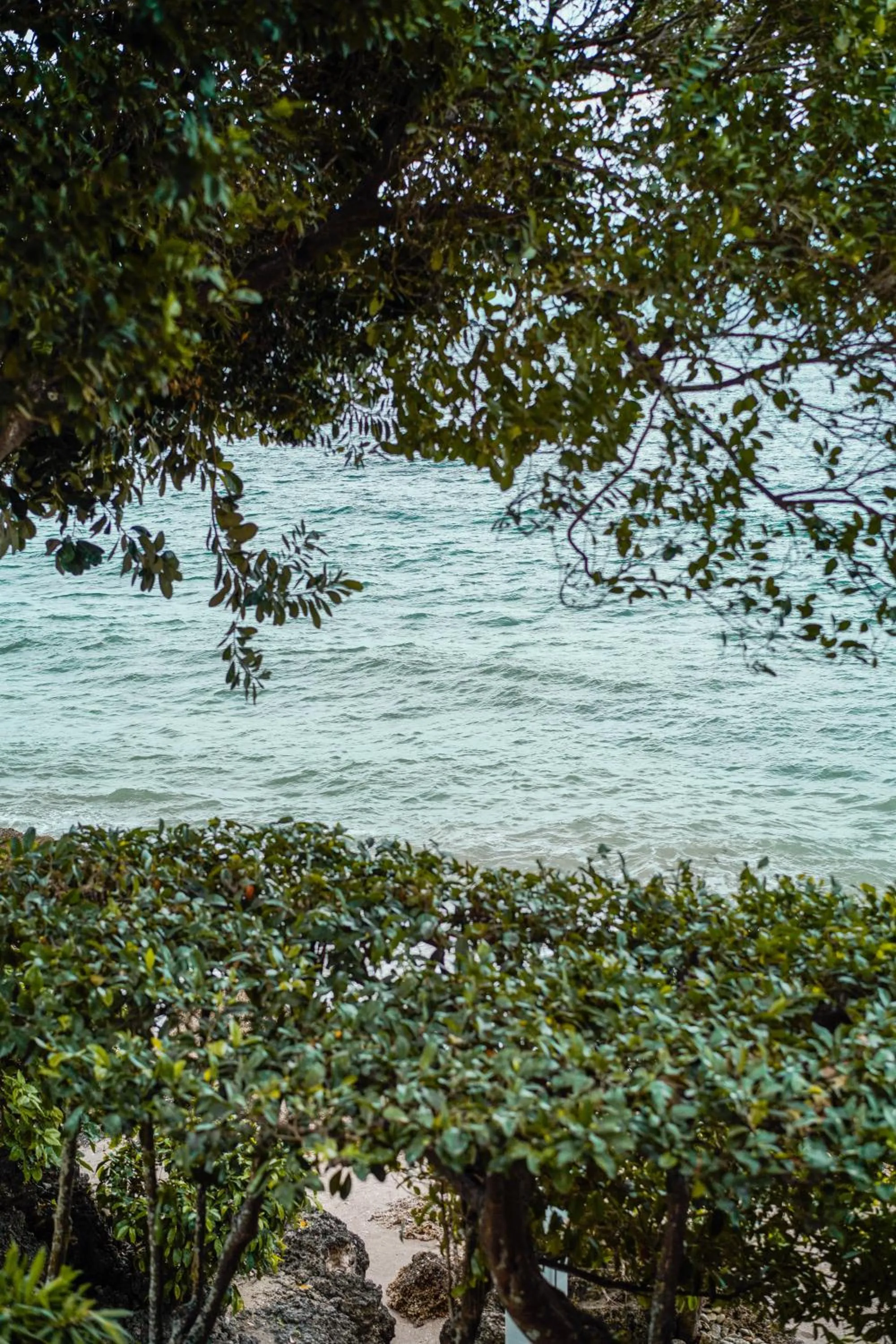 Beach in Wuthering Heights Bed & Breakfast by the Sea