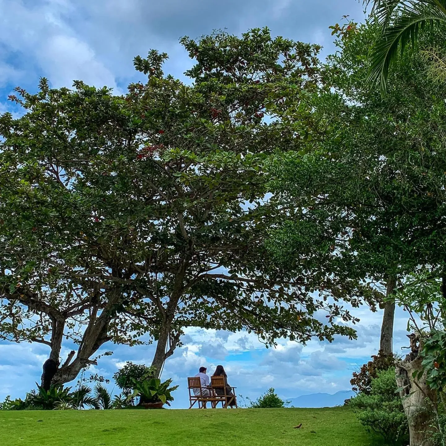 Garden in Wuthering Heights Bed & Breakfast by the Sea